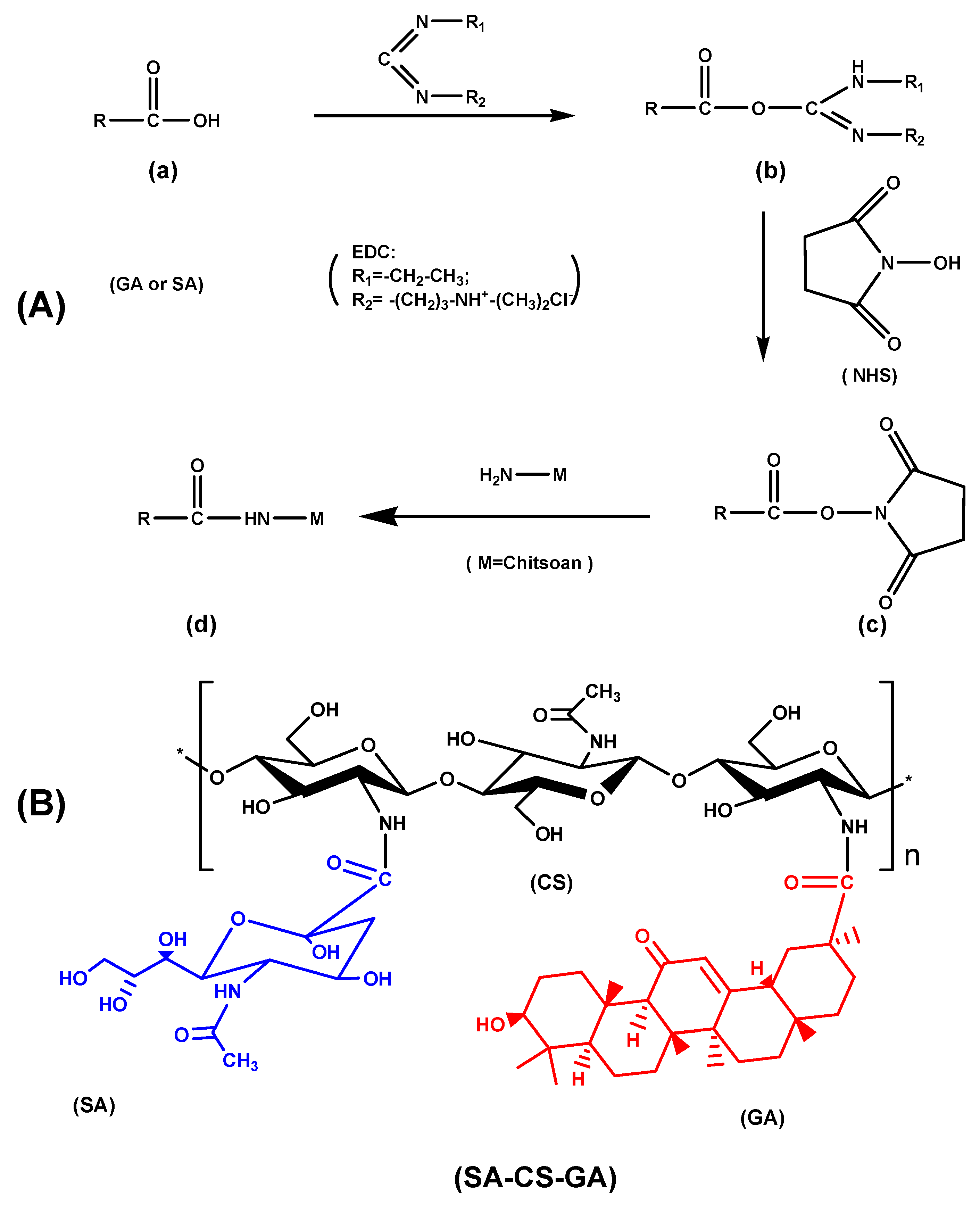 Molecules 26 00452 g001