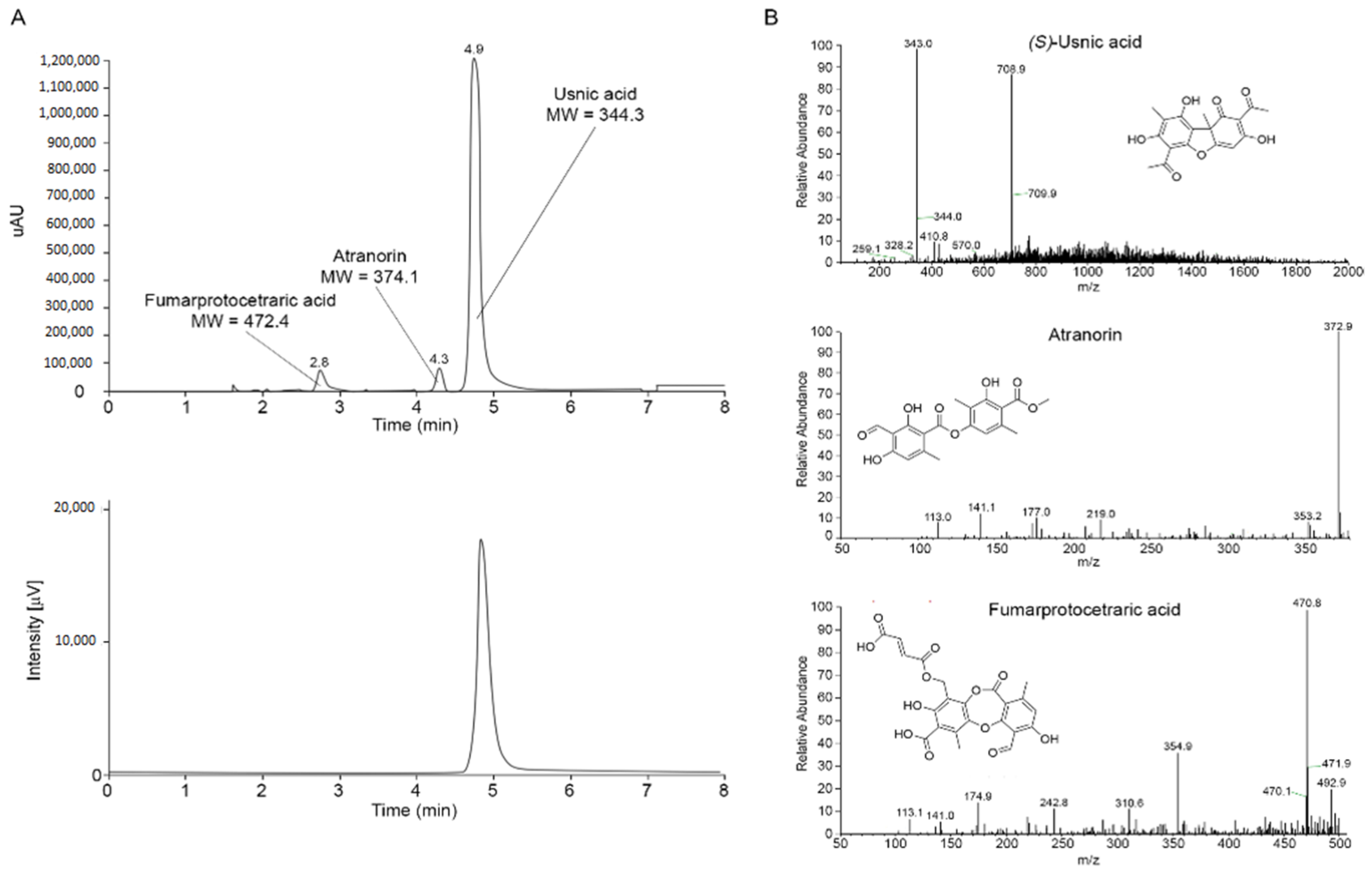 Molecules 26 00455 g005 Molecules 26 00455 g005