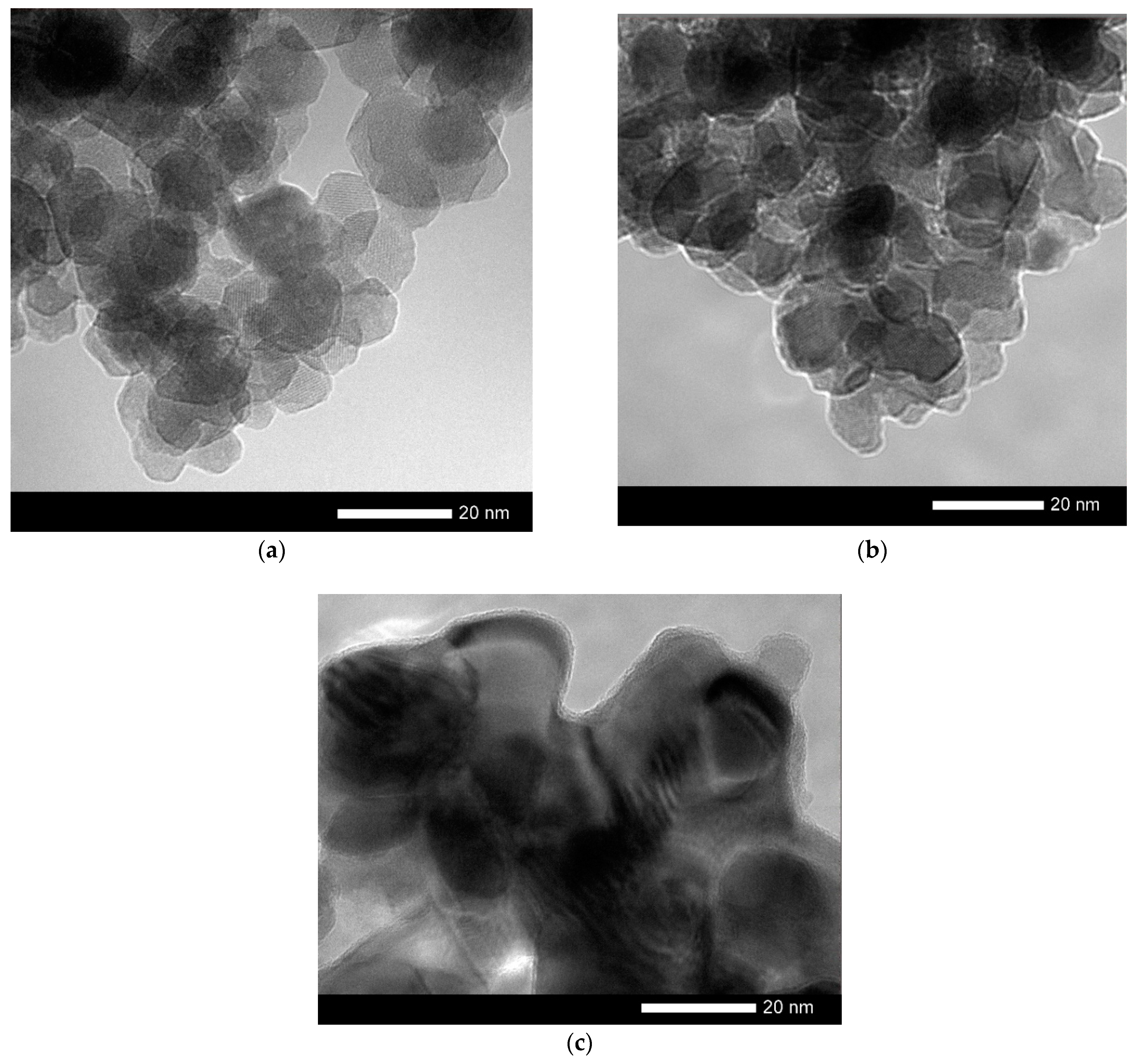 Molecules 26 00457 g002