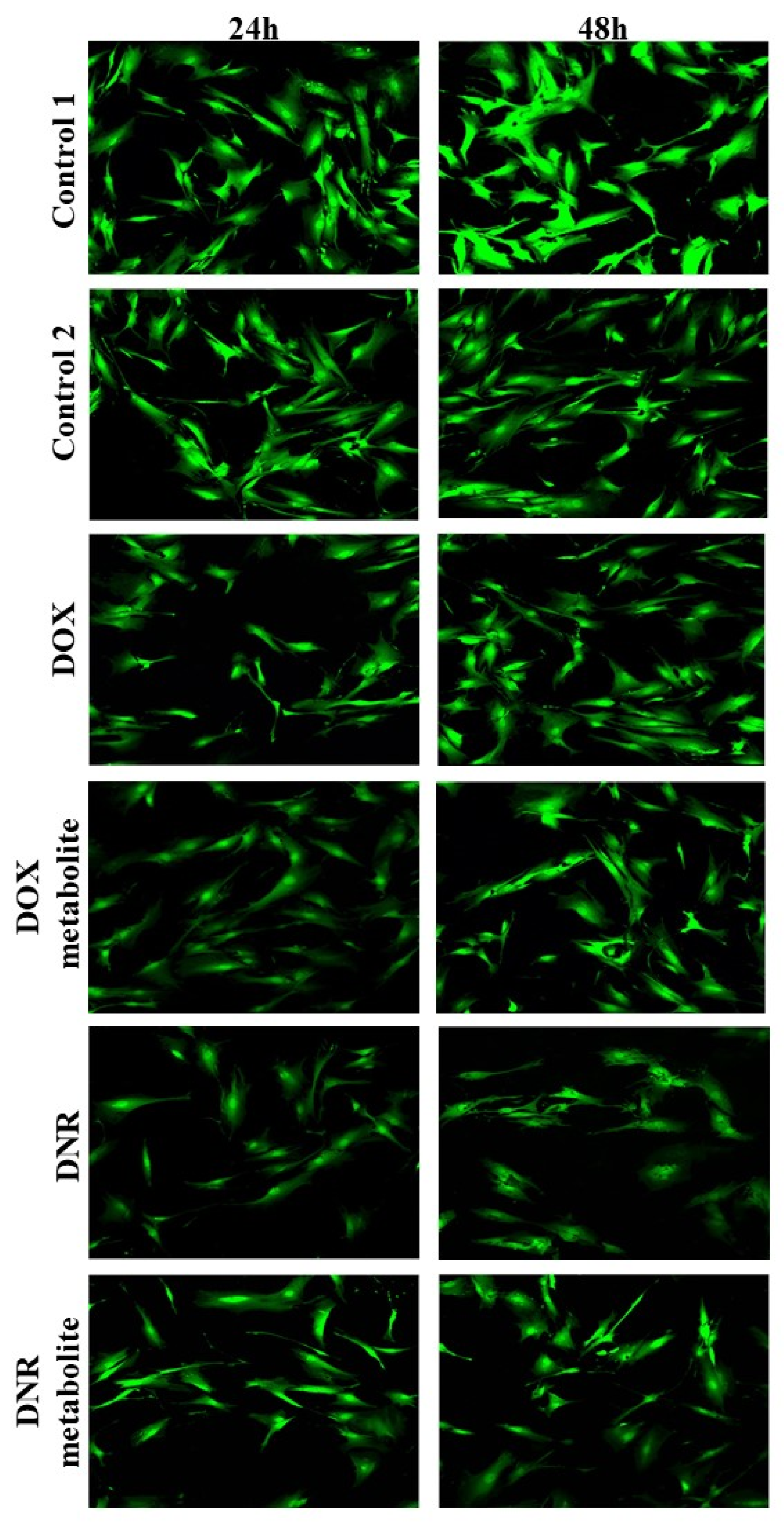 Molecules 26 00462 g0a3