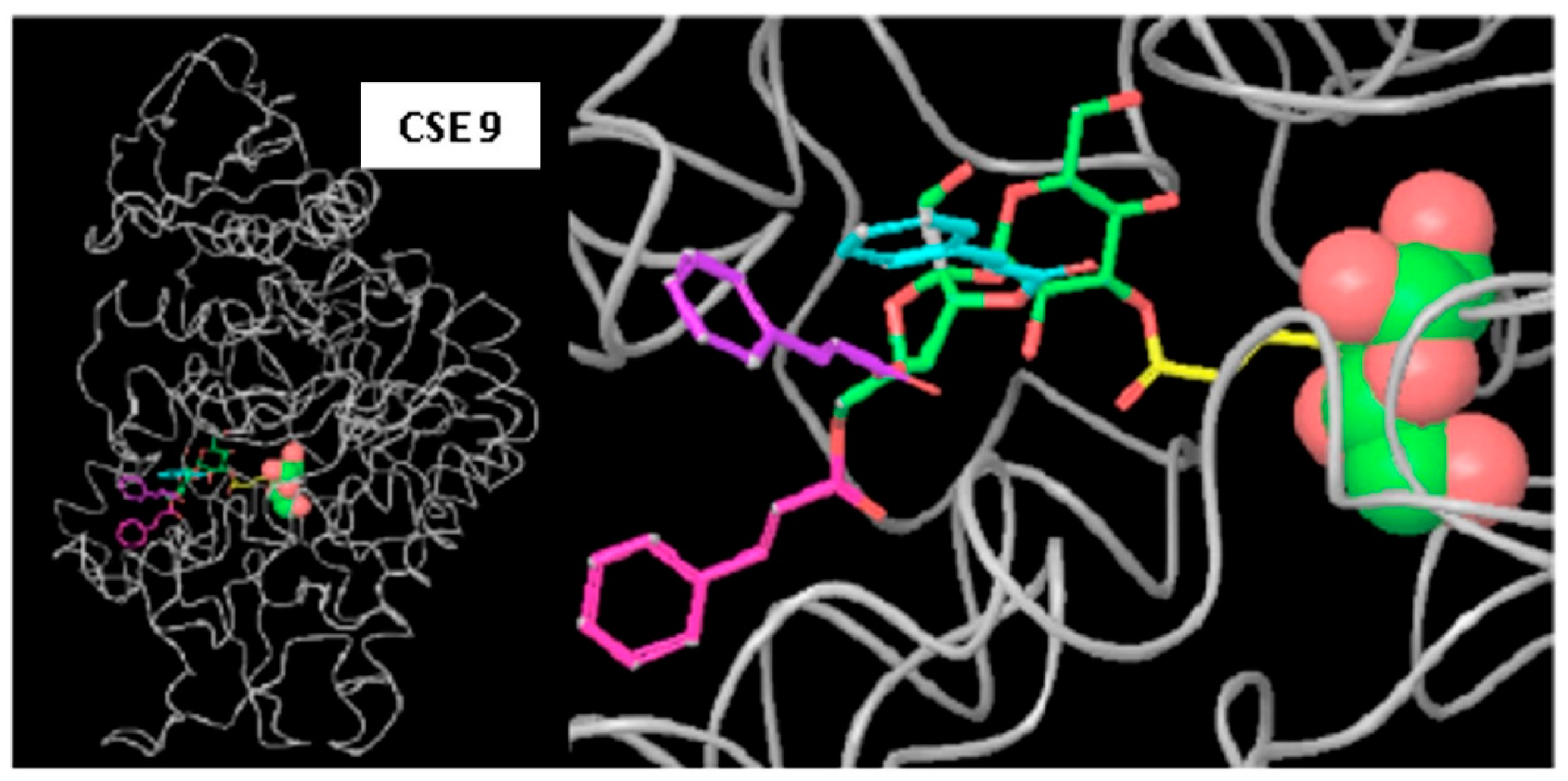 Molecules 26 00469 g004