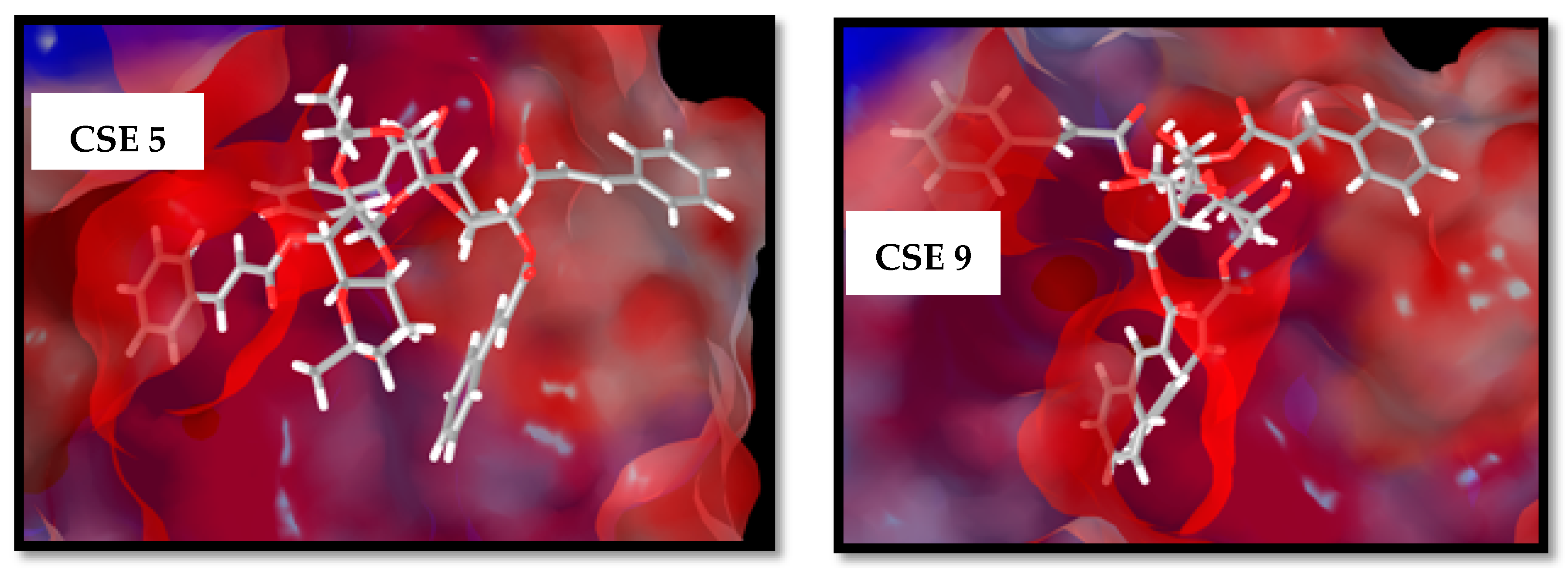 Molecules 26 00469 g006