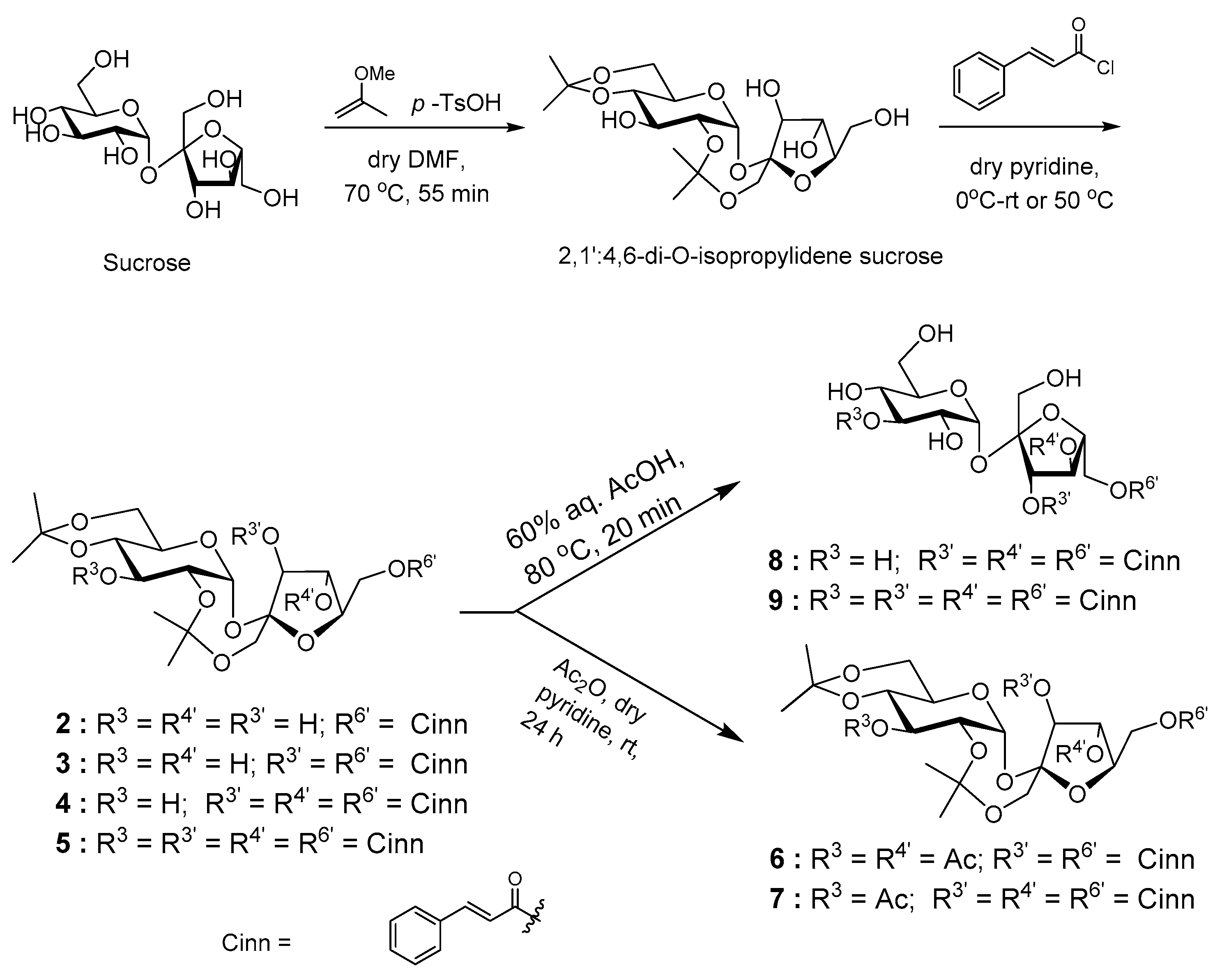 Molecules 26 00469 sch001