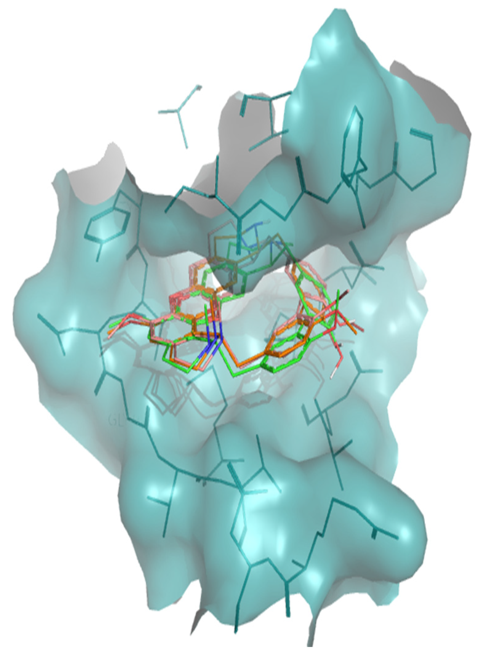 Molecules 26 00475 g004 Molecules 26 00475 g004
