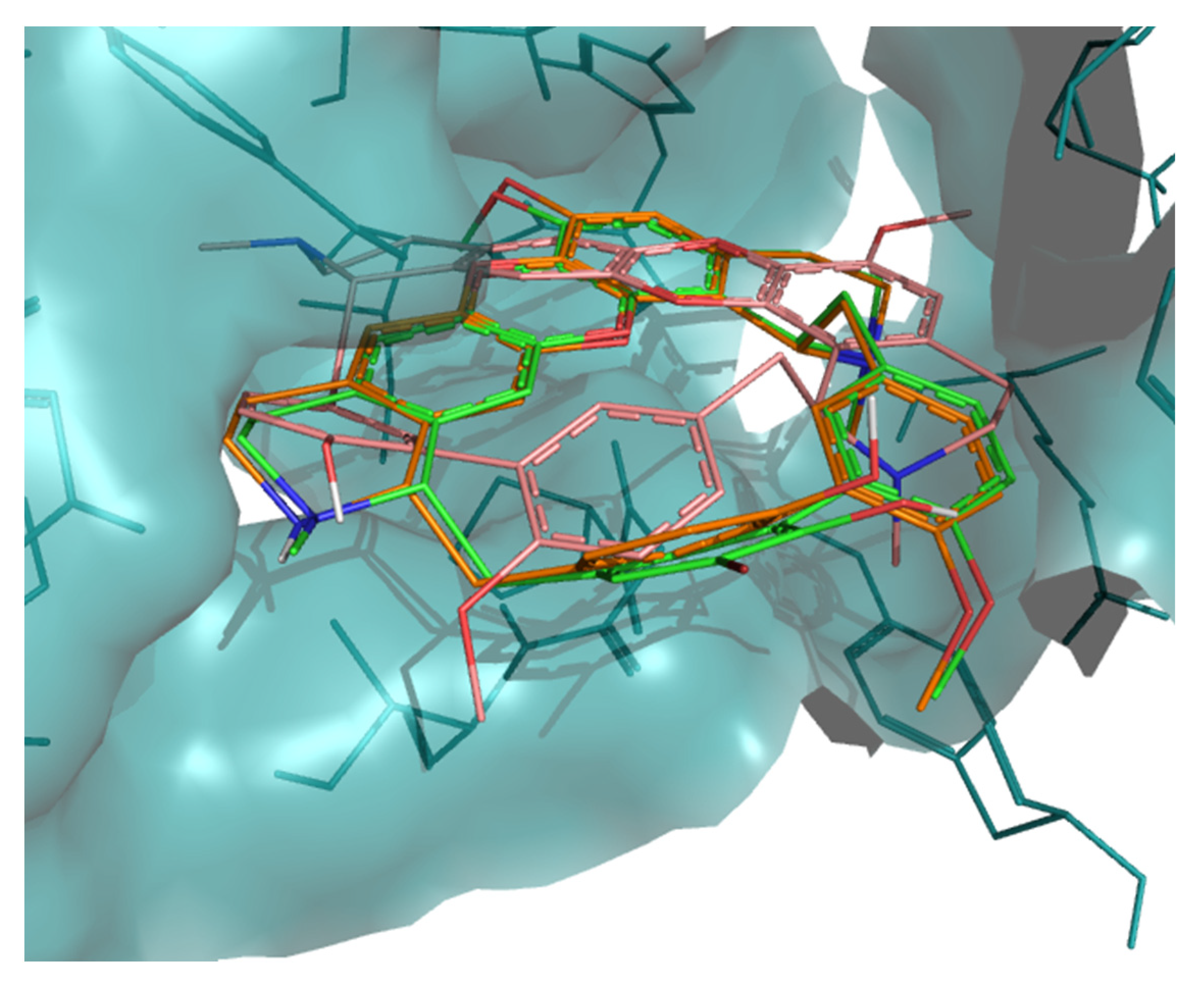 Molecules 26 00475 g005 Molecules 26 00475 g005