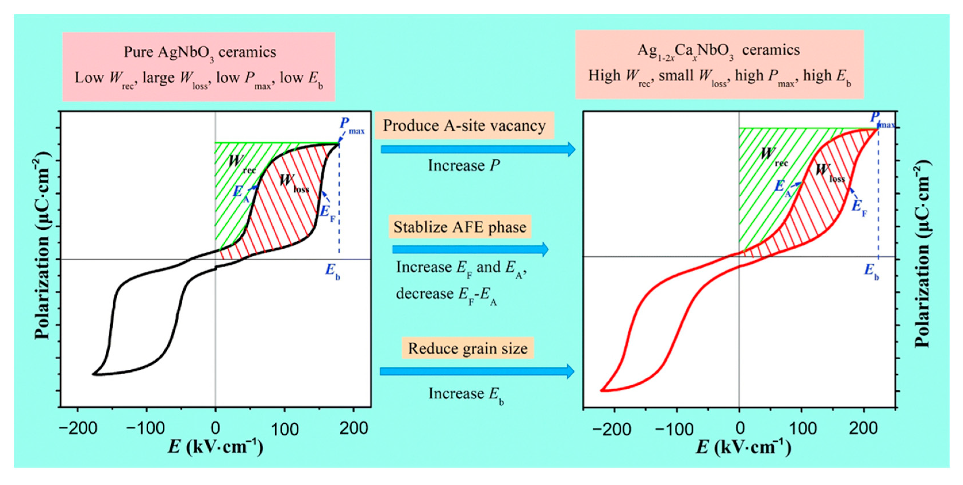 Molecules 26 00481 g013 Molecules 26 00481 g013