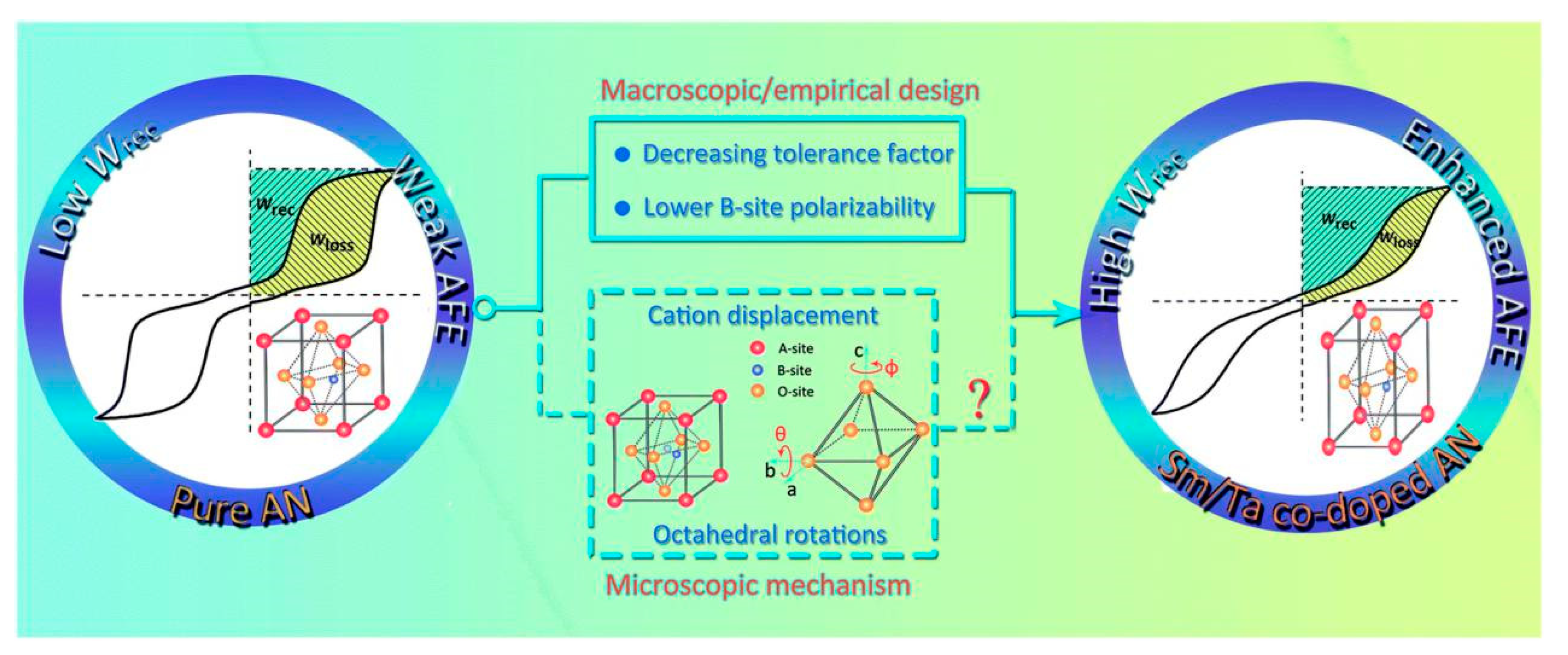 Molecules 26 00481 g016 Molecules 26 00481 g016