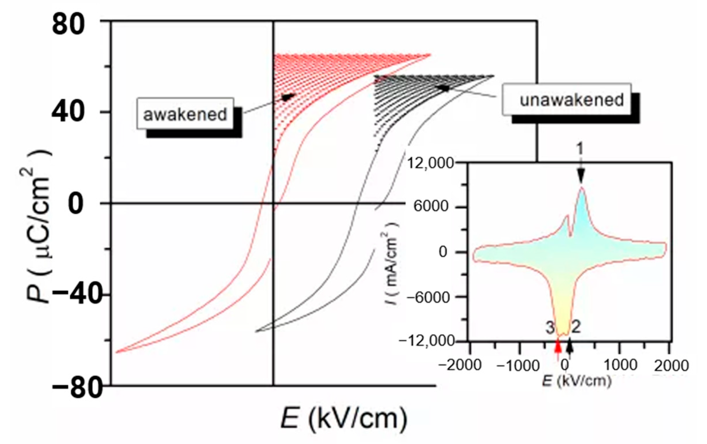 Molecules 26 00481 g020 Molecules 26 00481 g020