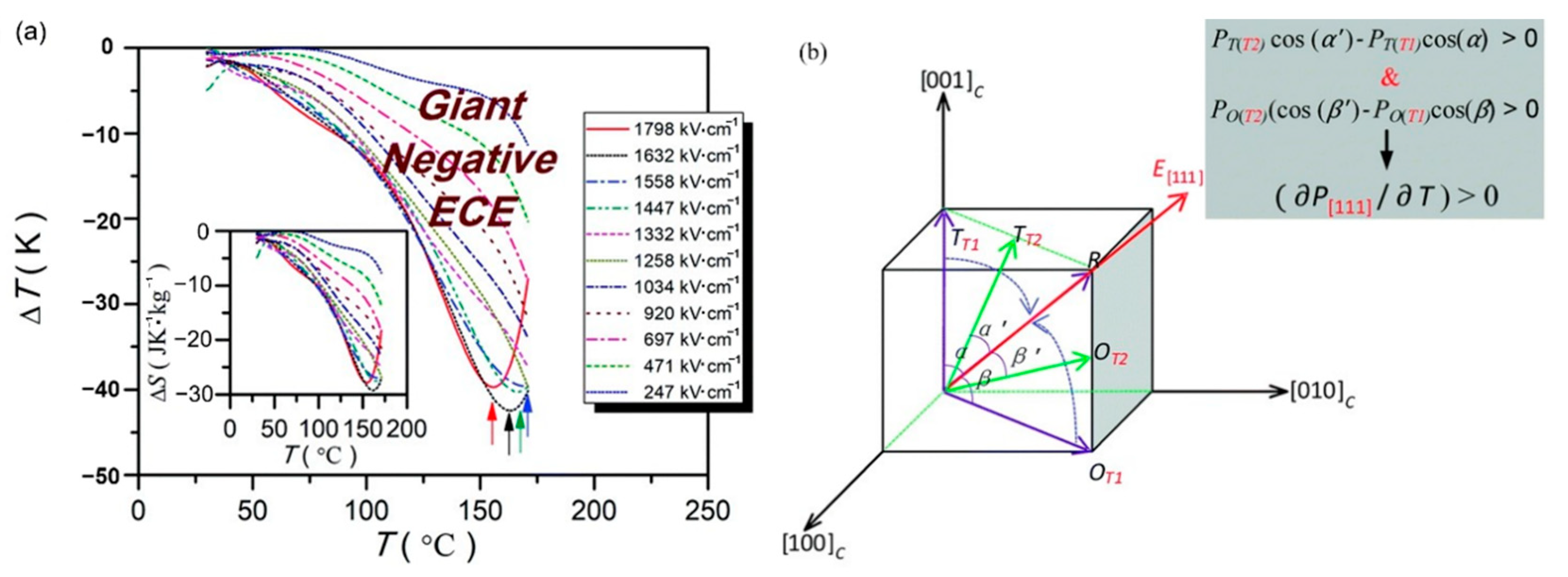 Molecules 26 00481 g027 Molecules 26 00481 g027