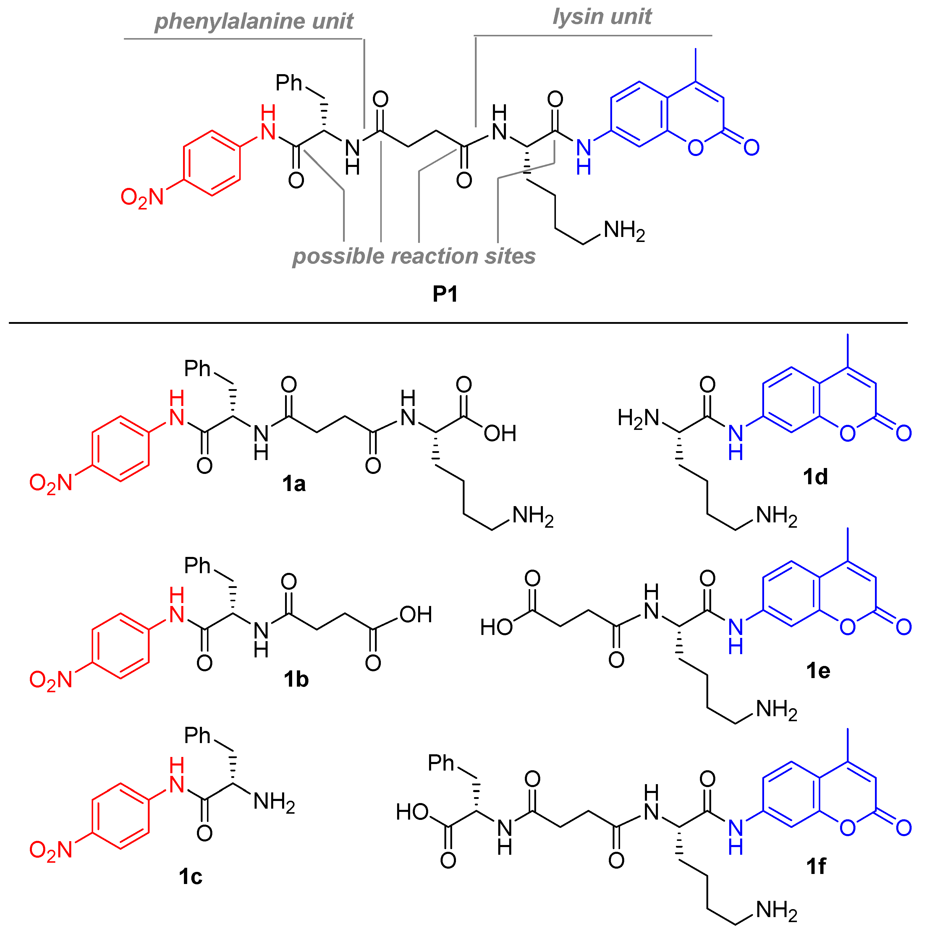 Molecules 26 00482 g001 Molecules 26 00482 g001