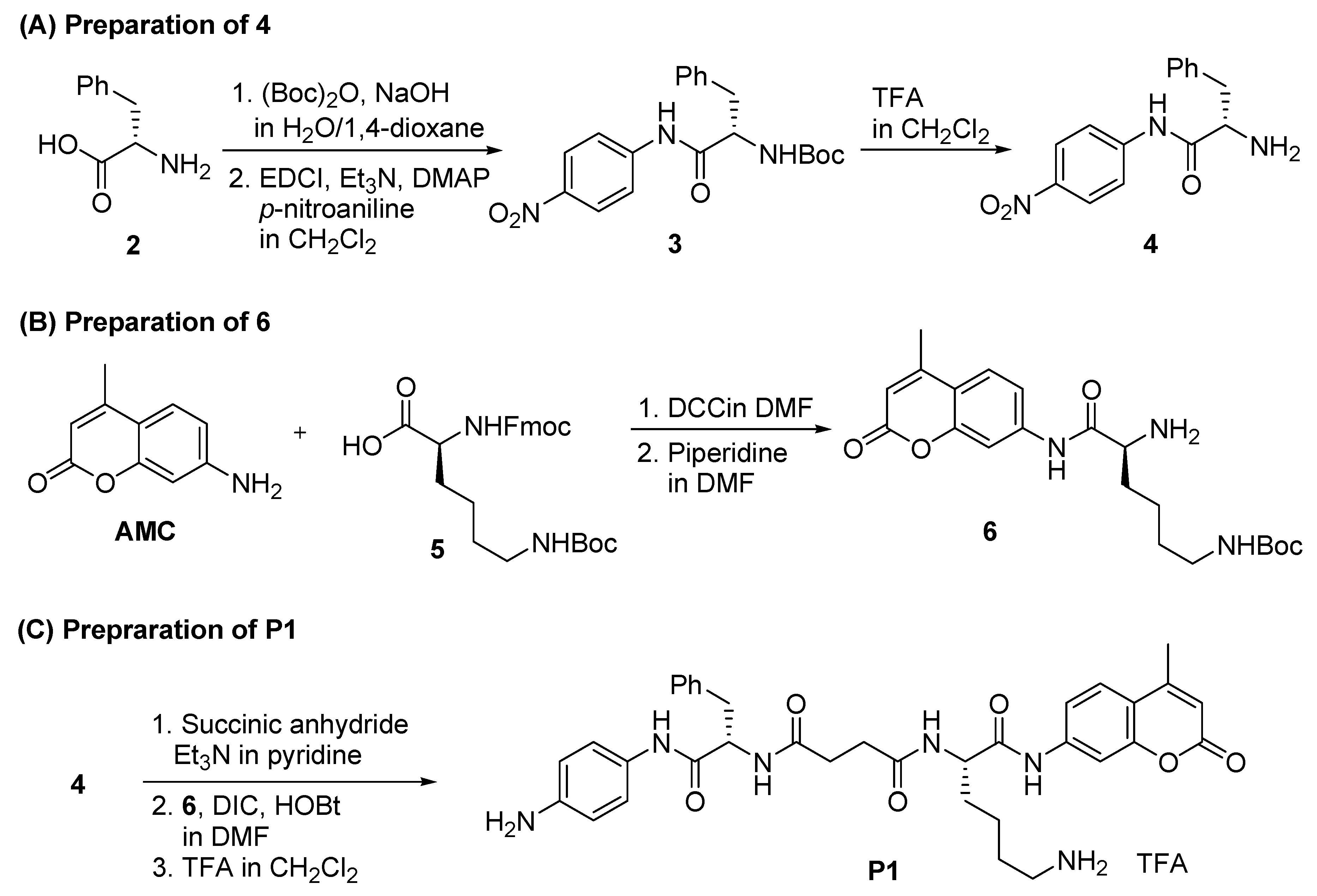 Molecules 26 00482 sch001 Molecules 26 00482 sch001