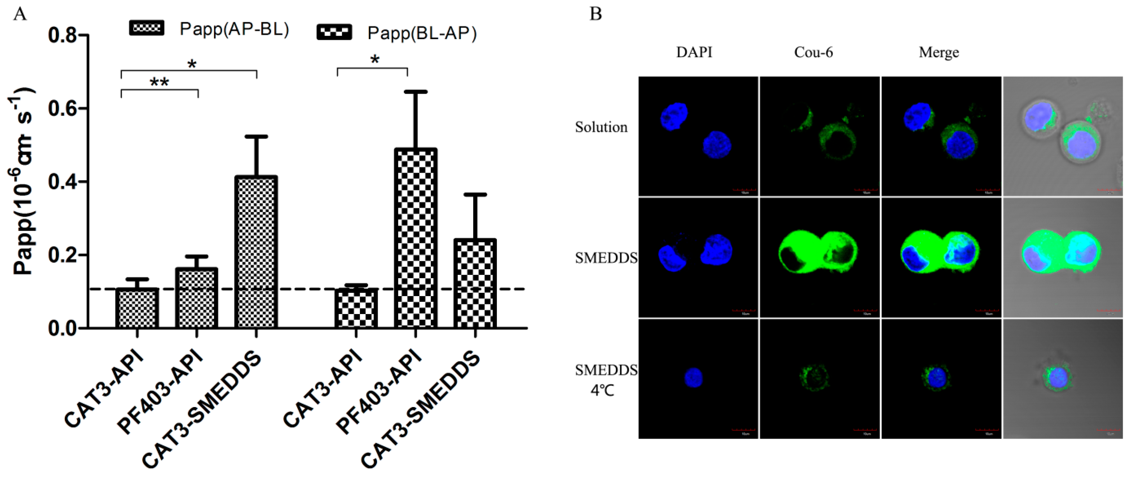 Molecules 26 00484 g004
