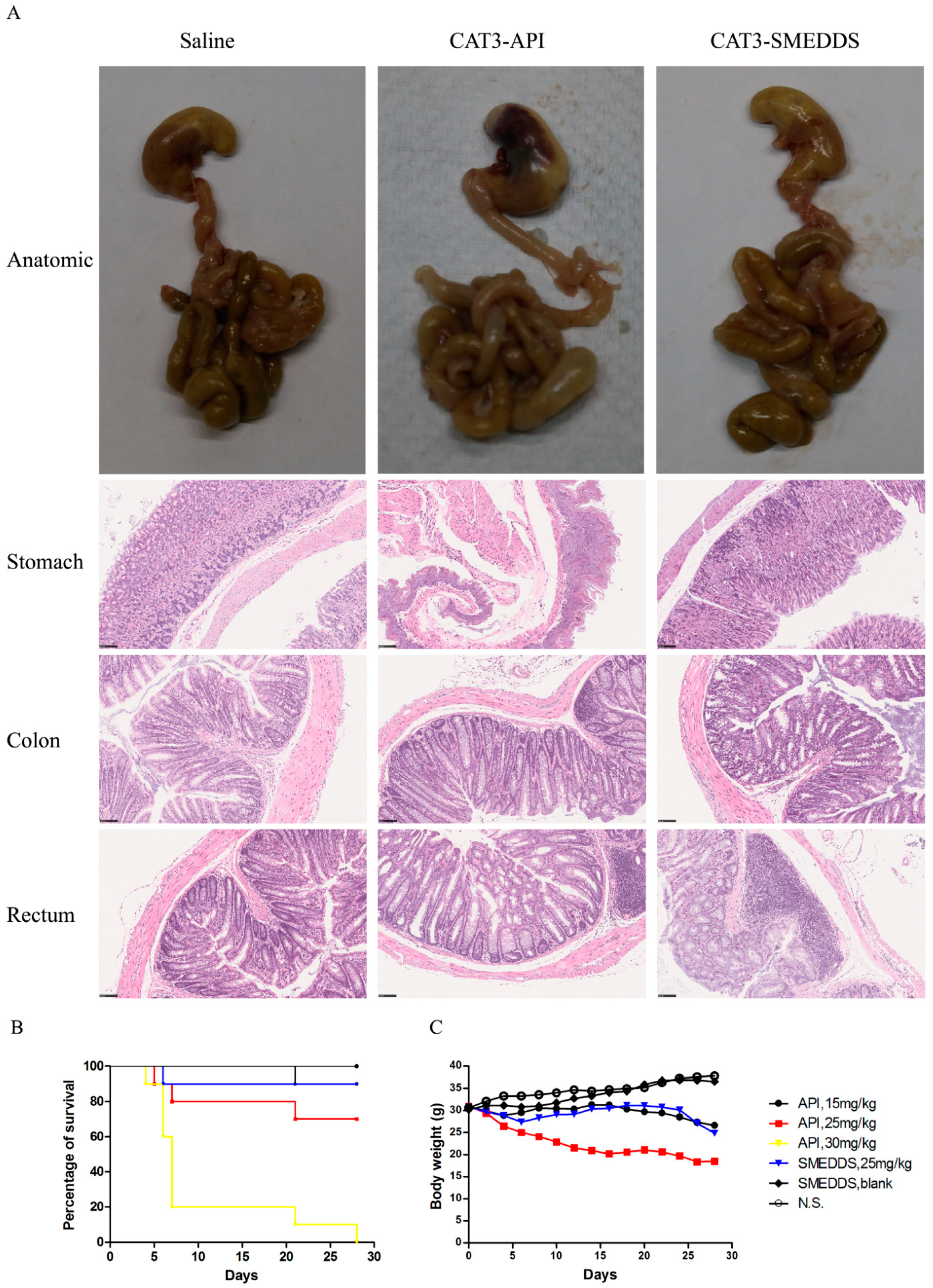 Molecules 26 00484 g007