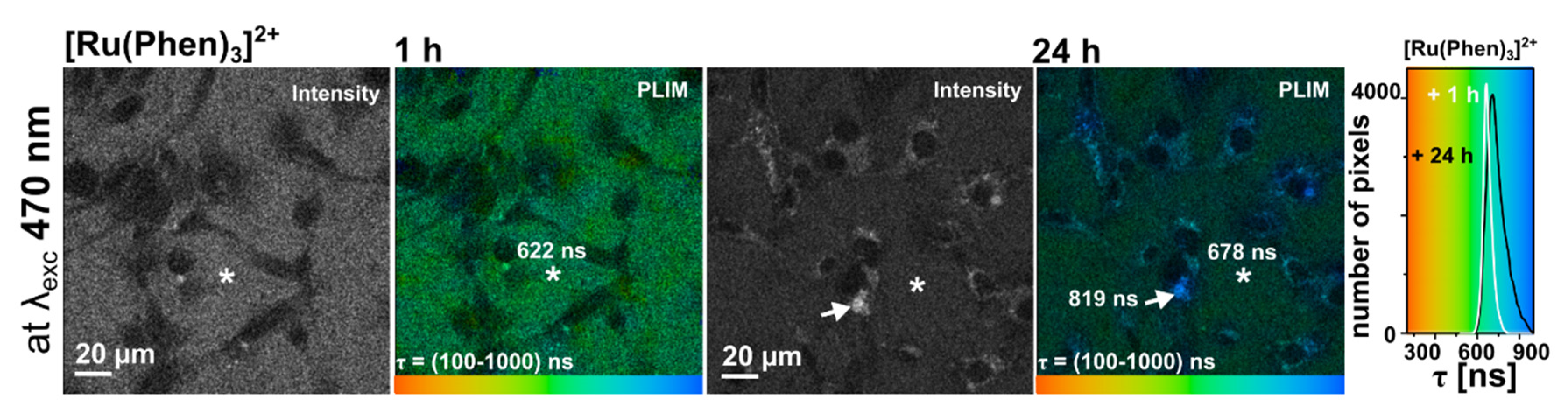 Molecules 26 00485 g005