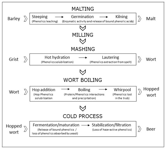 Molecules Free Full Text The Role Of Bioactive Phenolic Compounds On The Impact Of Beer On Health Html