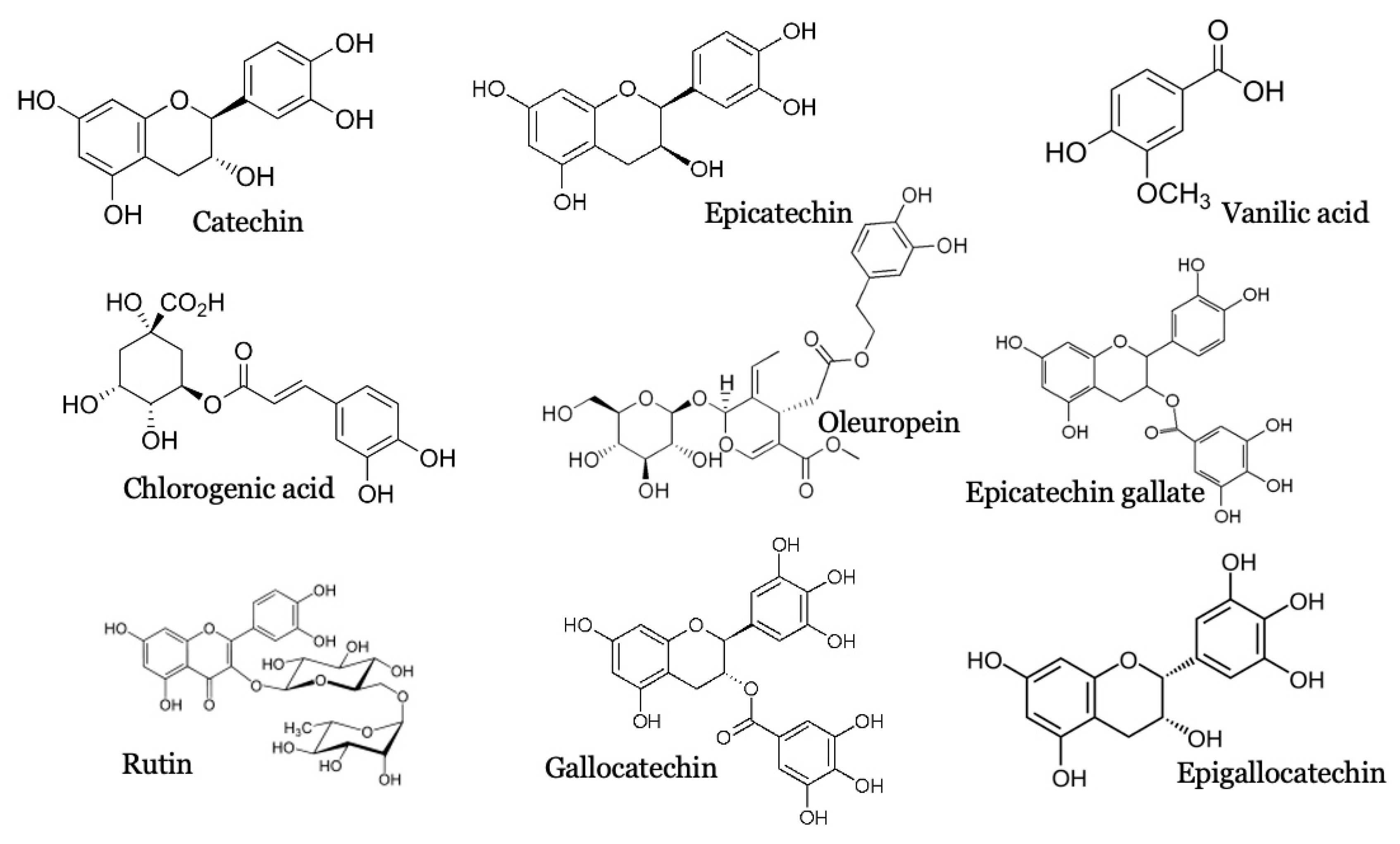 Molecules 26 00487 g002