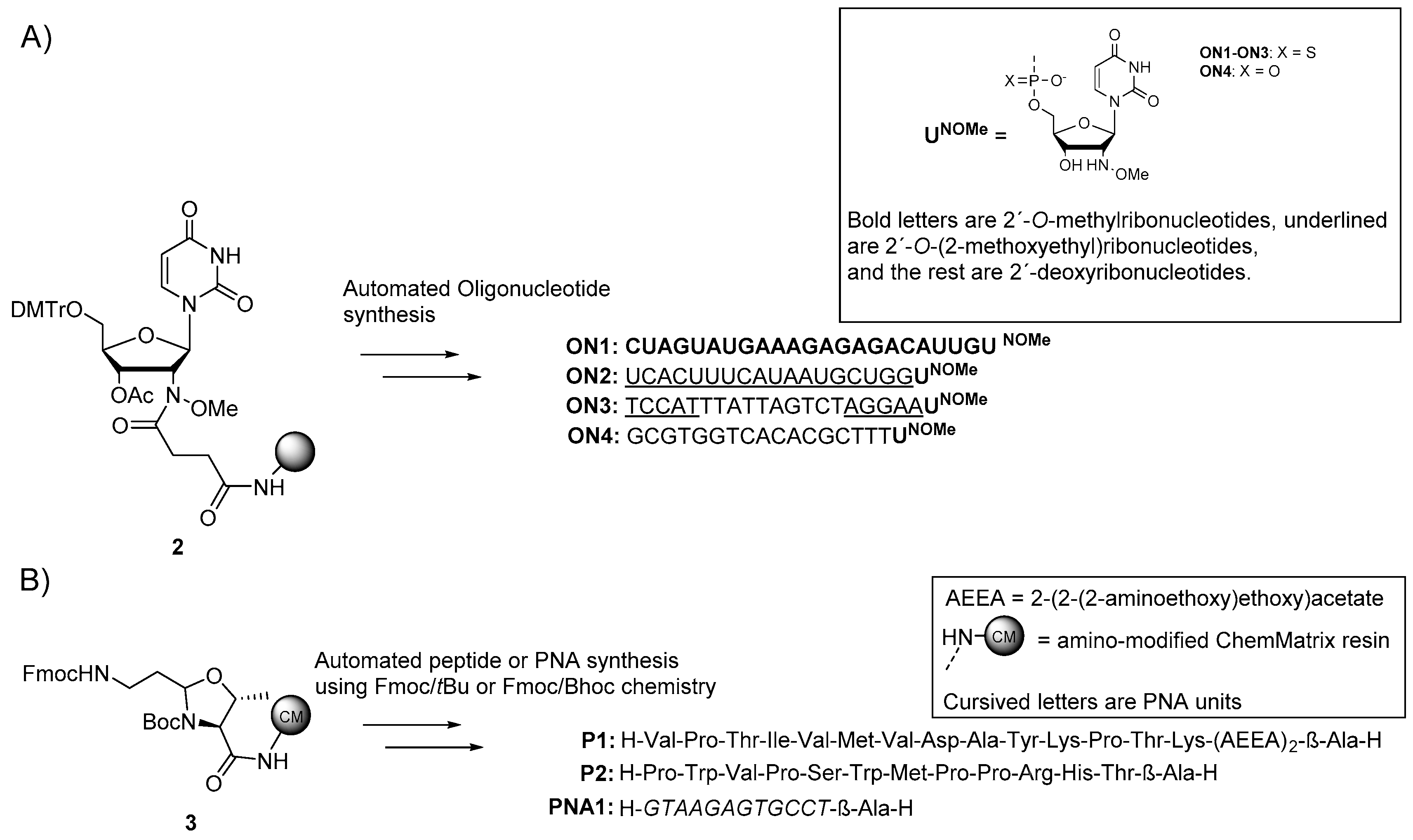Molecules Free Full Text Expanding The Scope Of The Cleavable N Methoxy Oxazolidine Linker For The Synthesis Of Oligonucleotide Conjugates Html Molecules Free Full Text Expanding The Scope Of The Cleavable N Methoxy Oxazolidine Linker For The Synthesis Of Oligonucleotide Conjugates Html