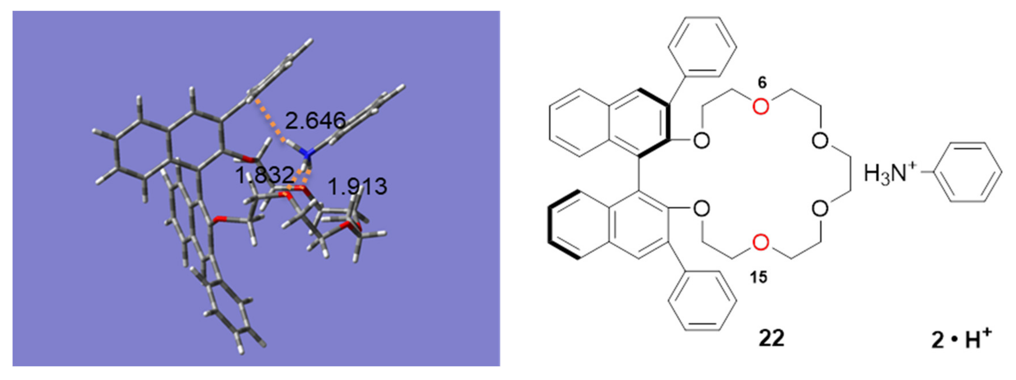 Molecules 26 00493 g012