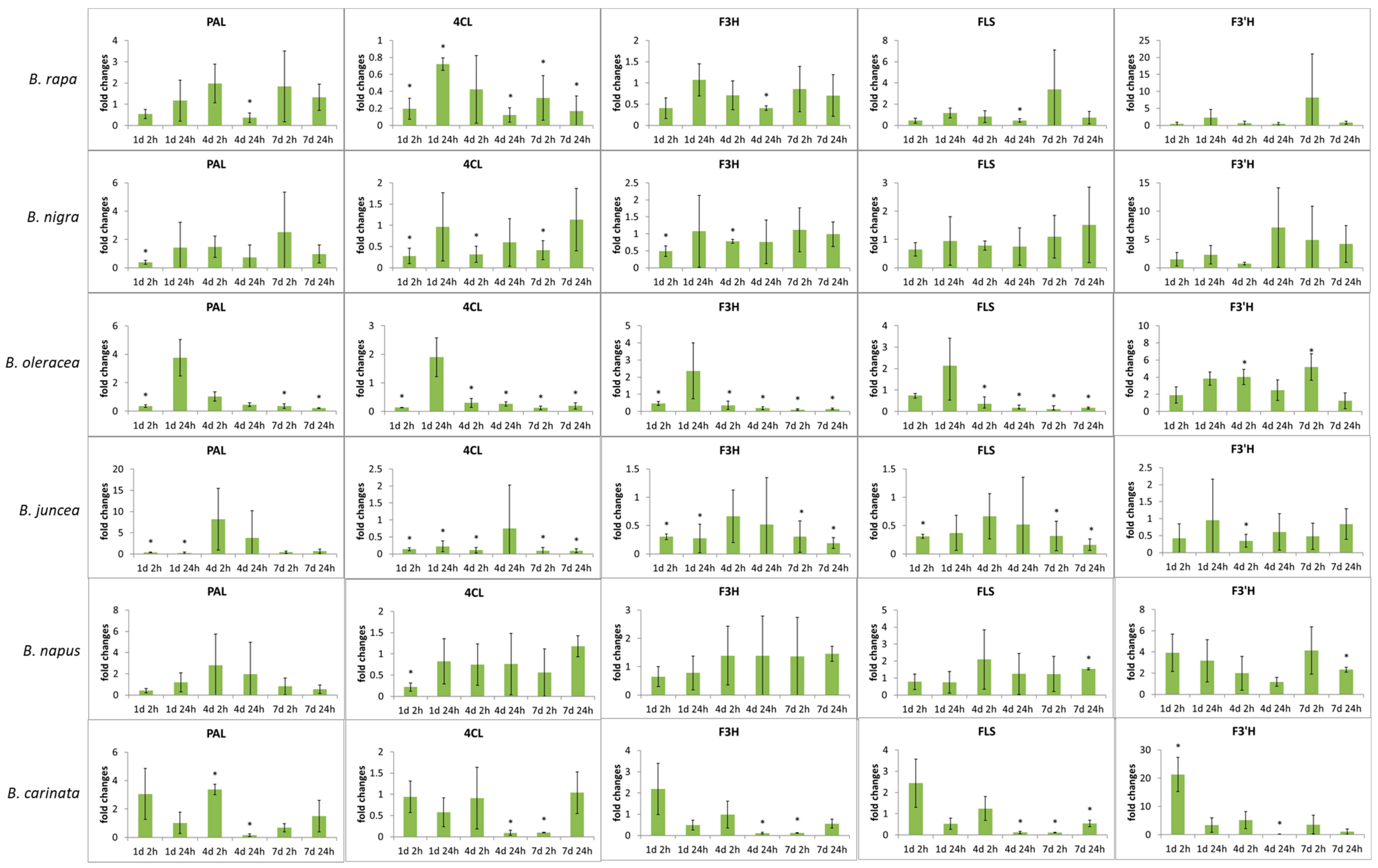 Molecules 26 00494 g004