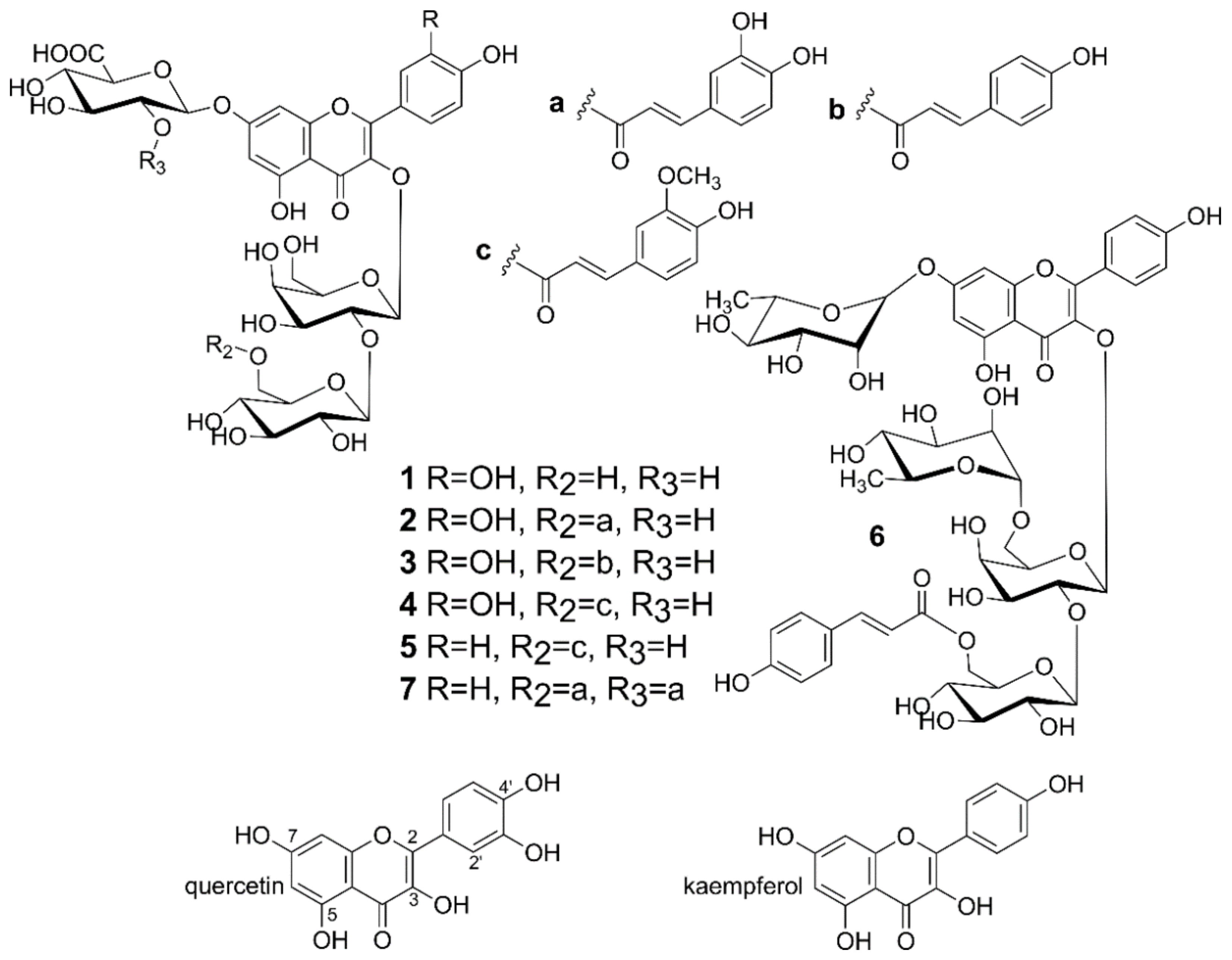 Molecules 26 00497 g001 Molecules 26 00497 g001