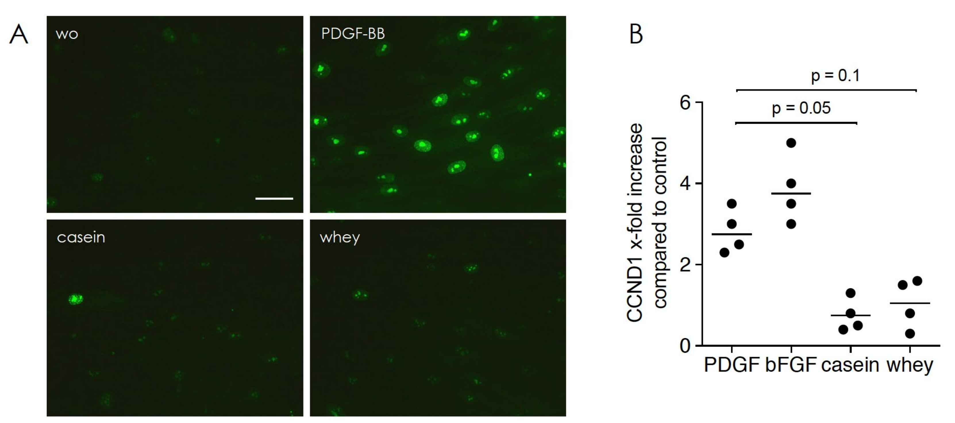 Molecules 26 00507 g002 Molecules 26 00507 g002