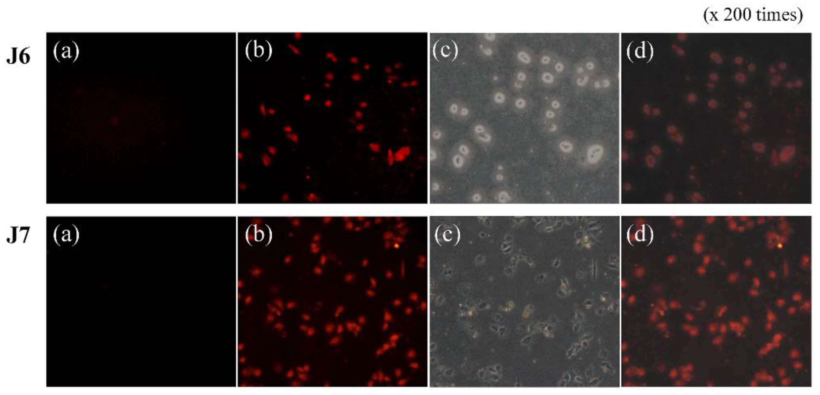 Molecules 26 00512 g010 Molecules 26 00512 g010