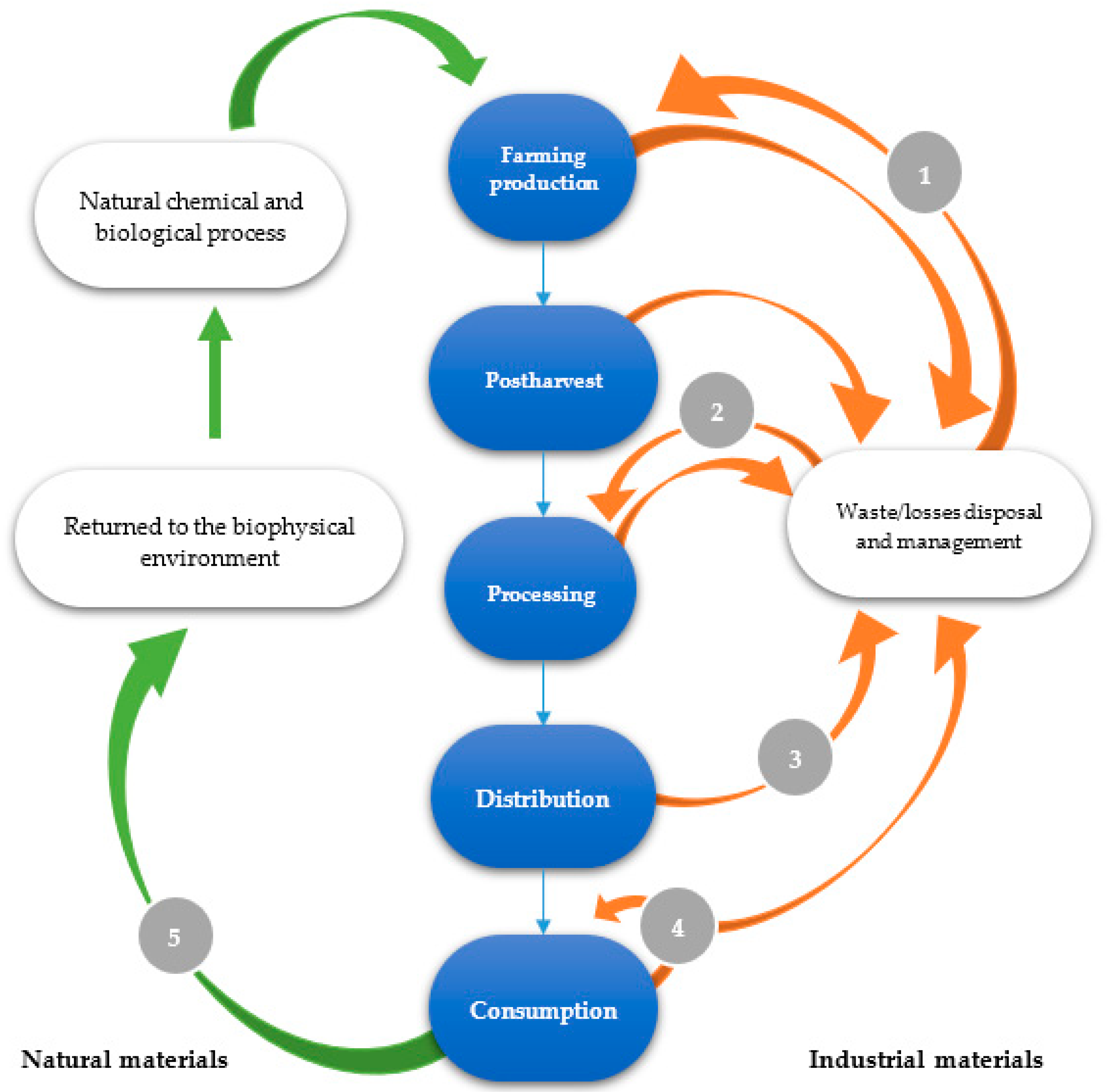 Molecules Free Full Text The Potential Of Selected Agri Food Loss And Waste To Contribute To A Circular Economy Applications In The Food Cosmetic And Pharmaceutical Industries Html
