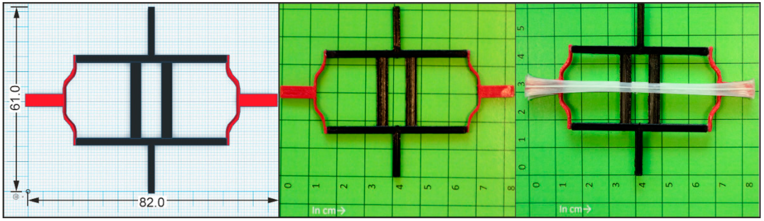 Molecules 26 00522 g011