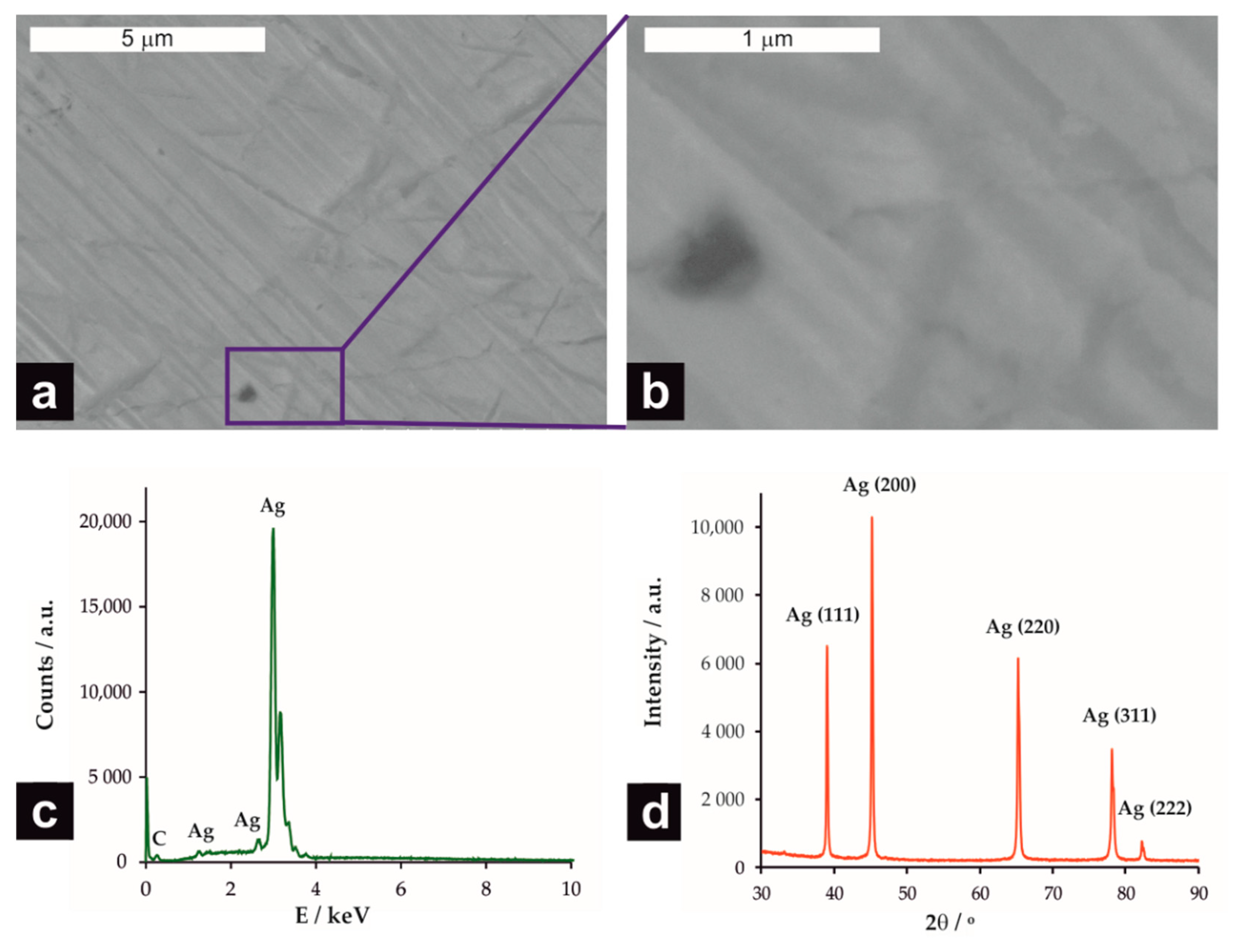 Molecules 26 00525 g001