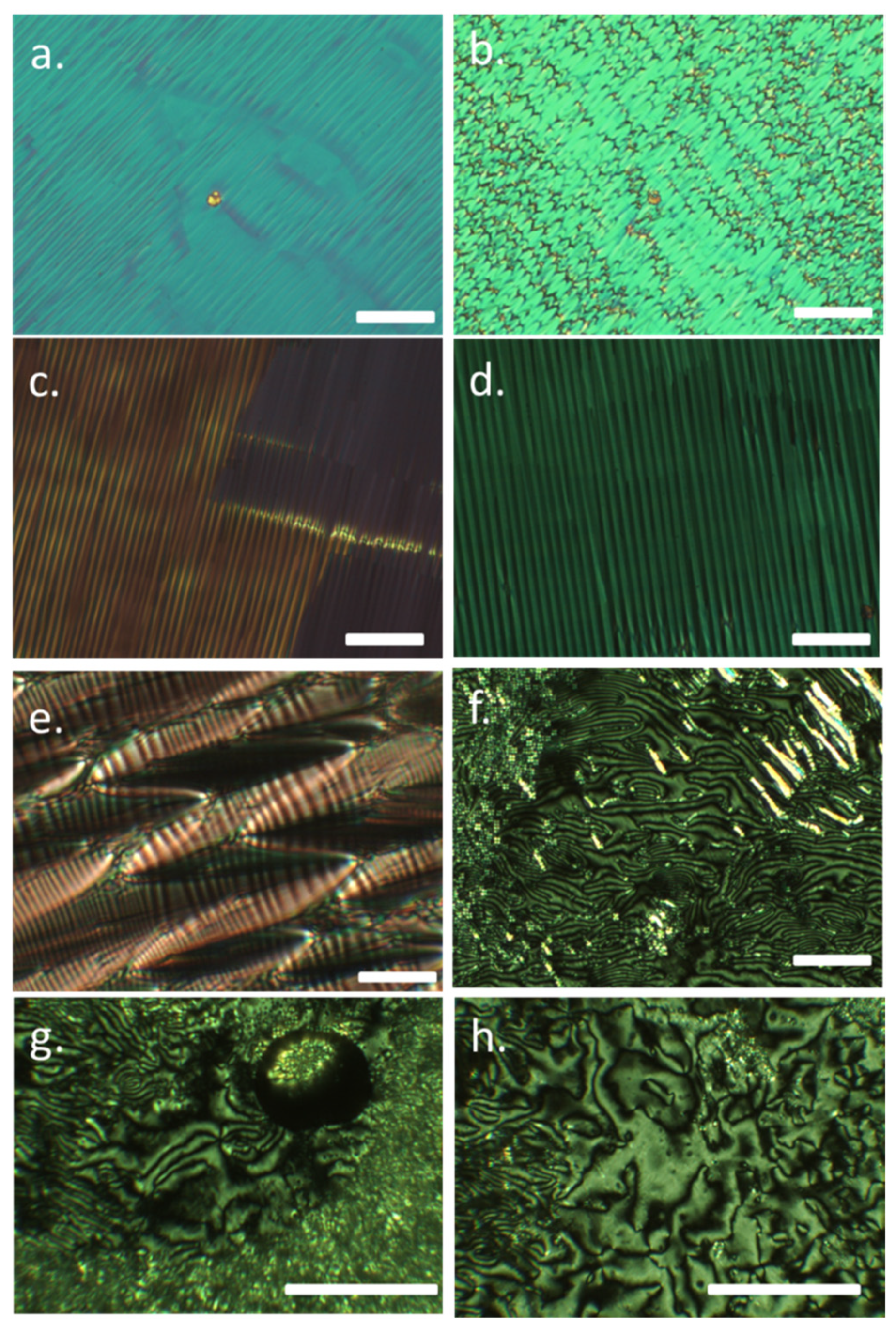 Molecules 26 00532 g001