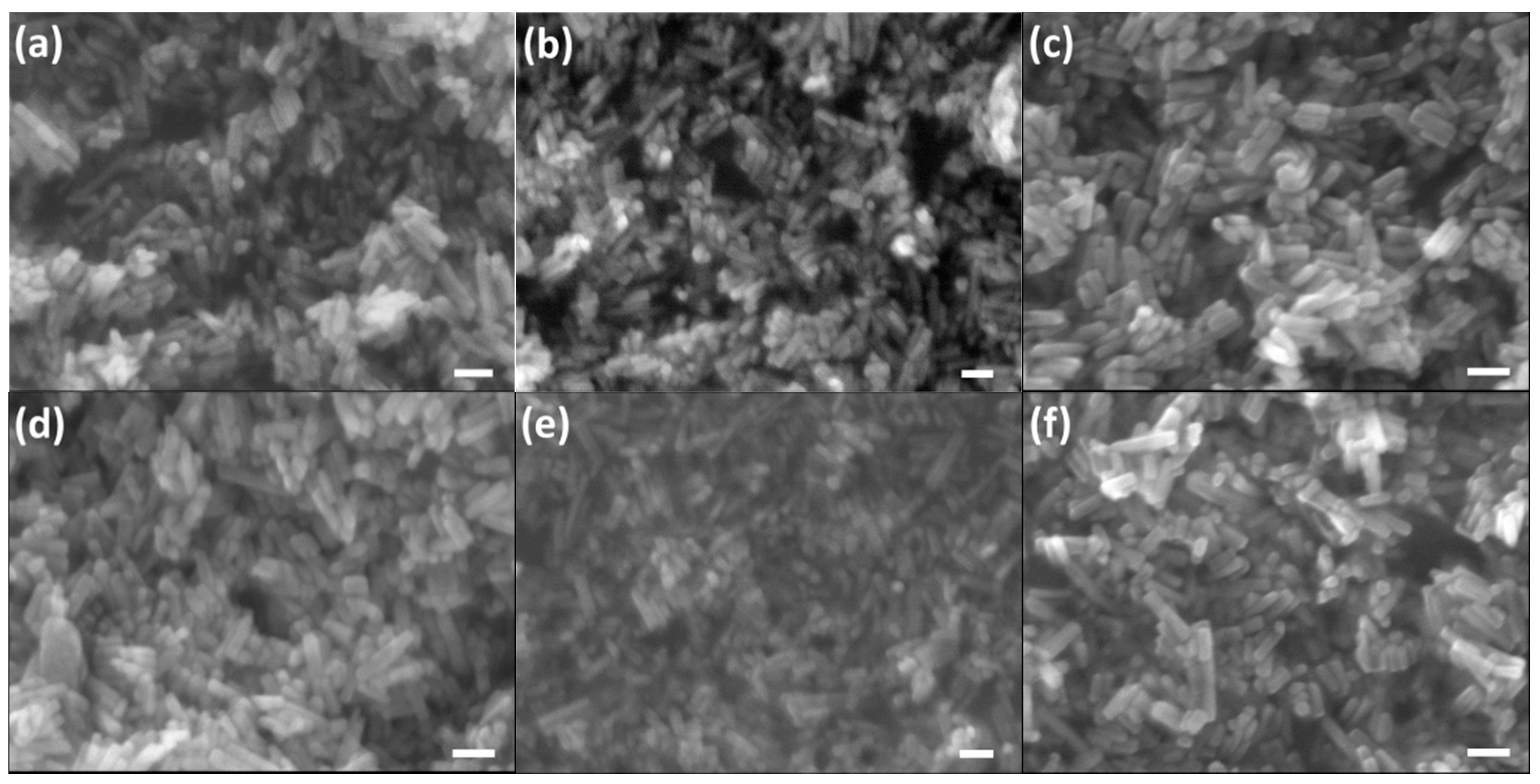 Molecules 26 00540 g005a Molecules 26 00540 g005a