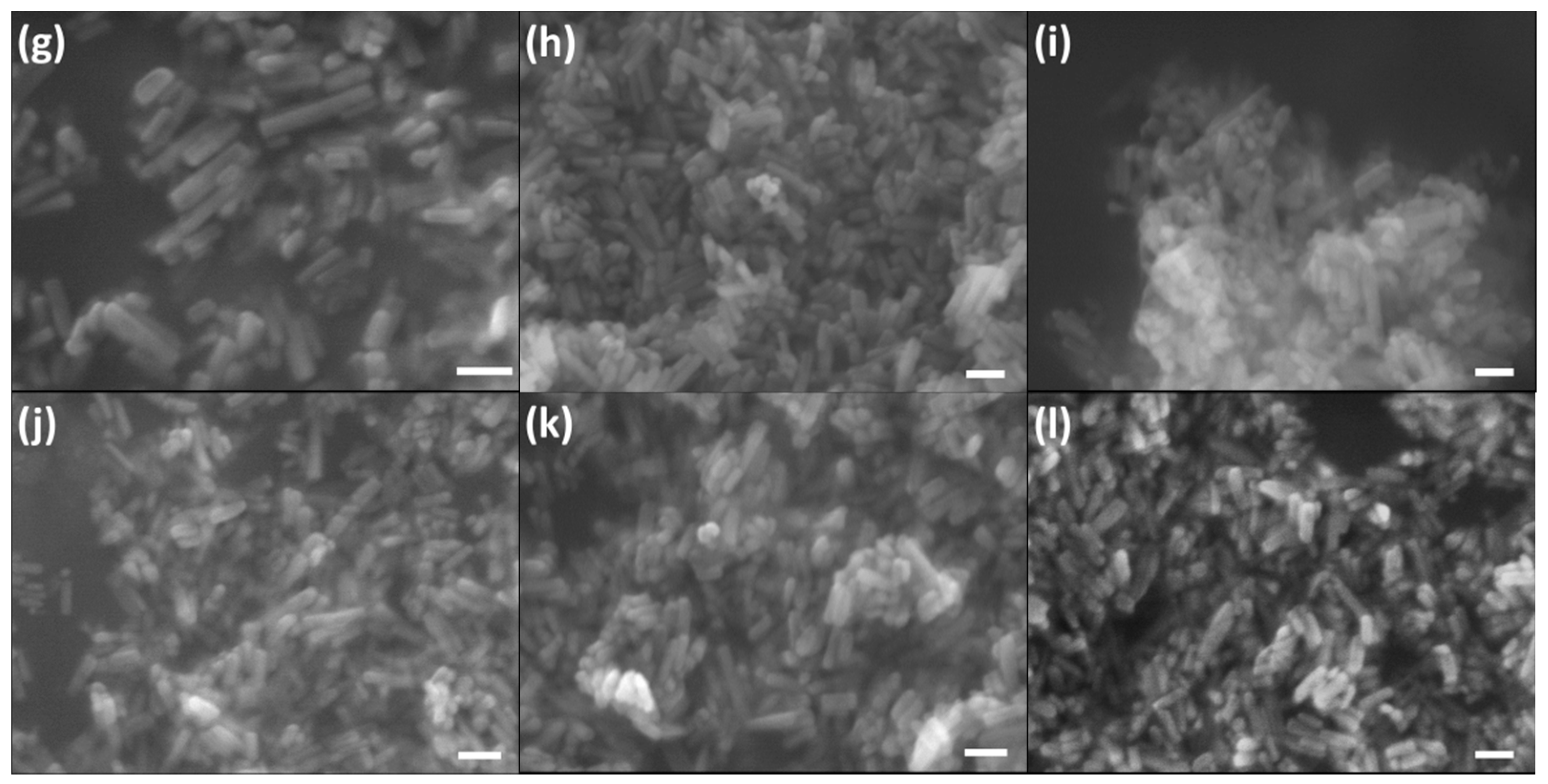 Molecules 26 00540 g005b Molecules 26 00540 g005b