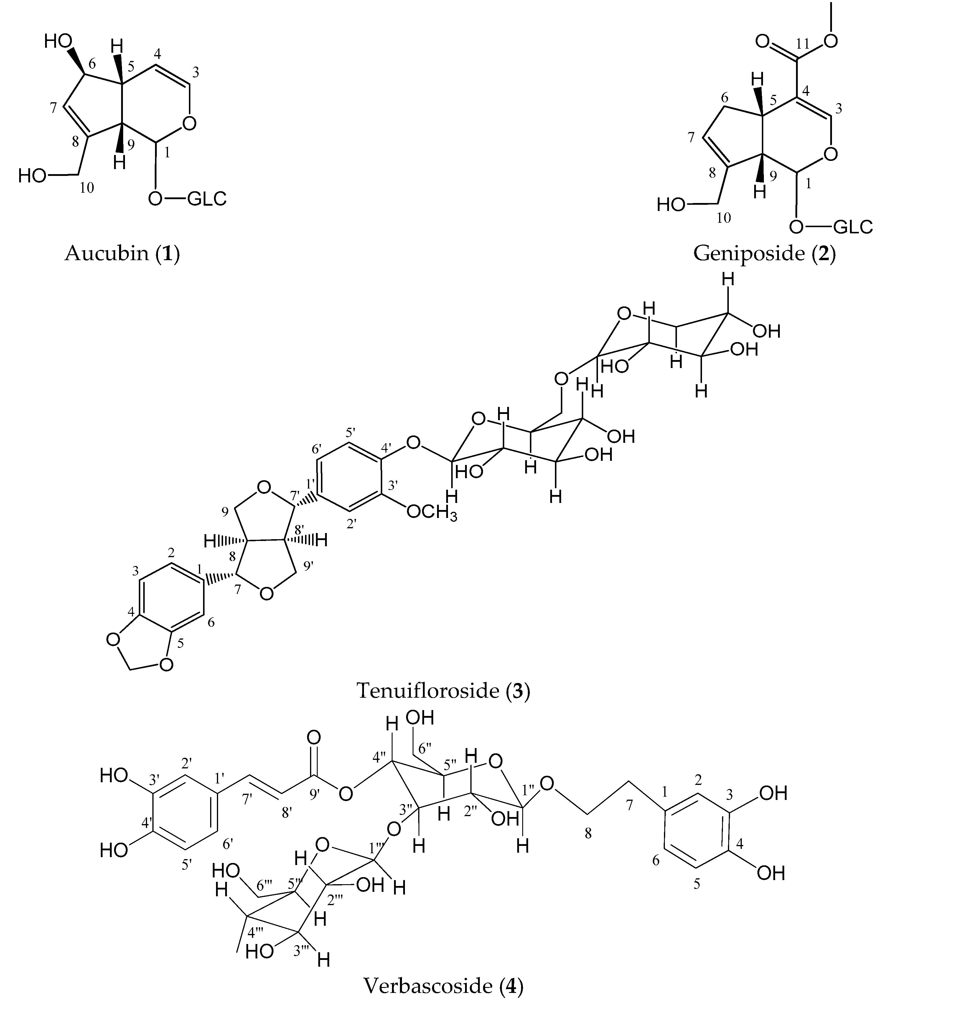 Molecules 26 00547 g001a Molecules 26 00547 g001a