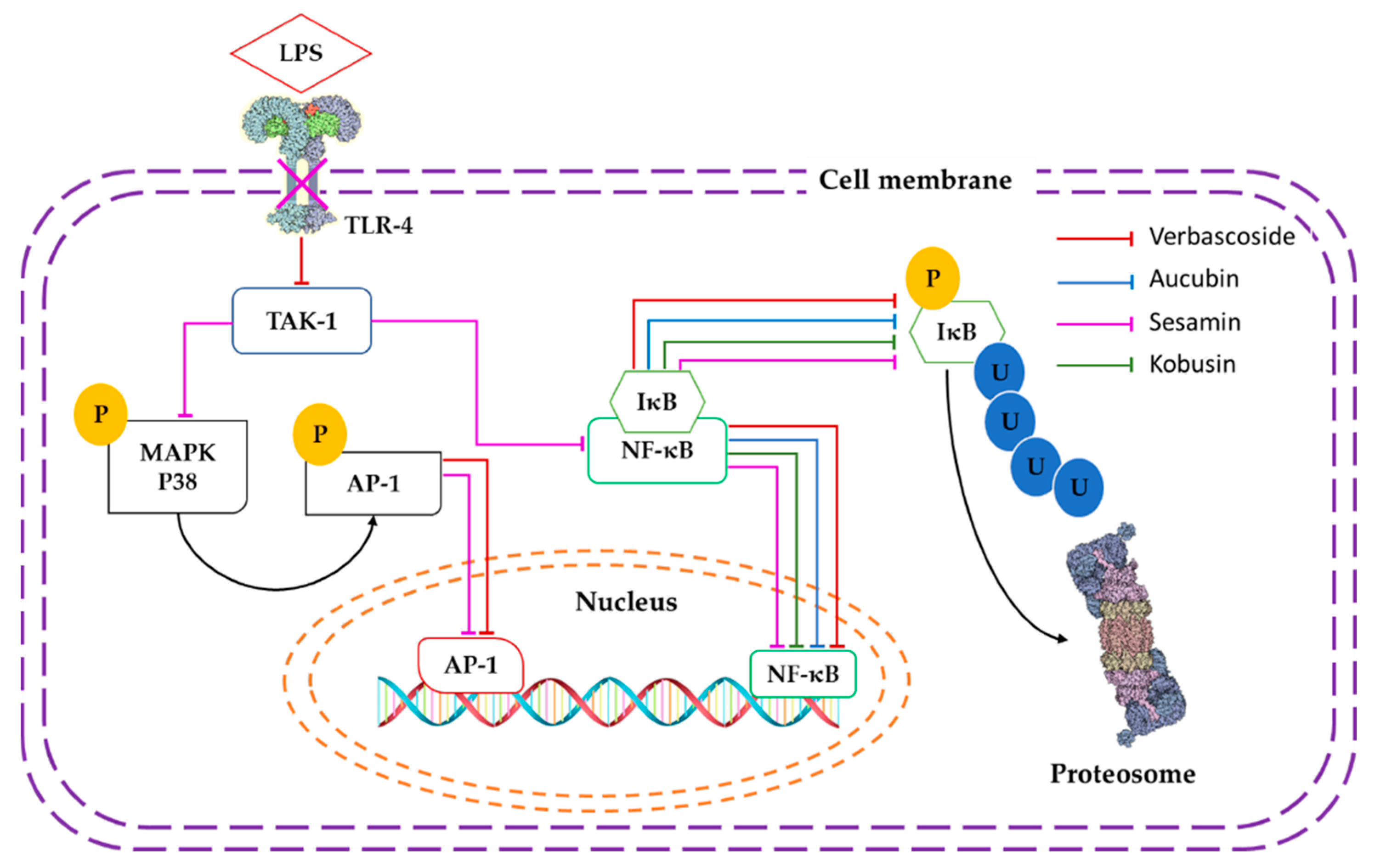 Molecules 26 00547 g002 Molecules 26 00547 g002