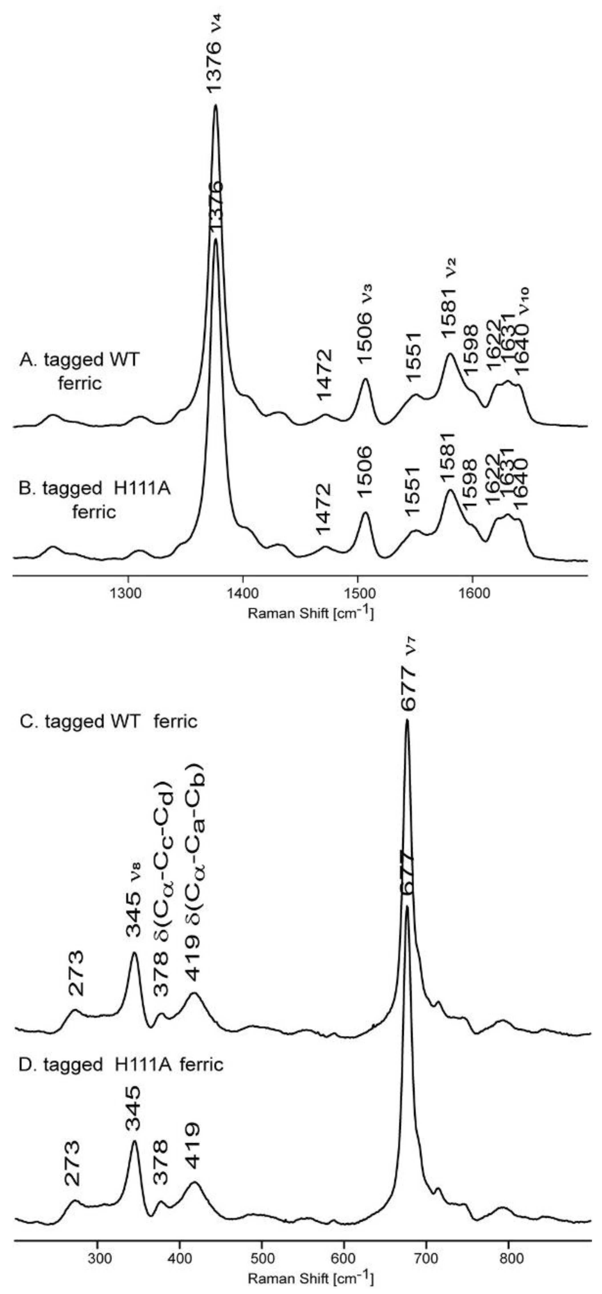 Molecules 26 00549 g003 Molecules 26 00549 g003