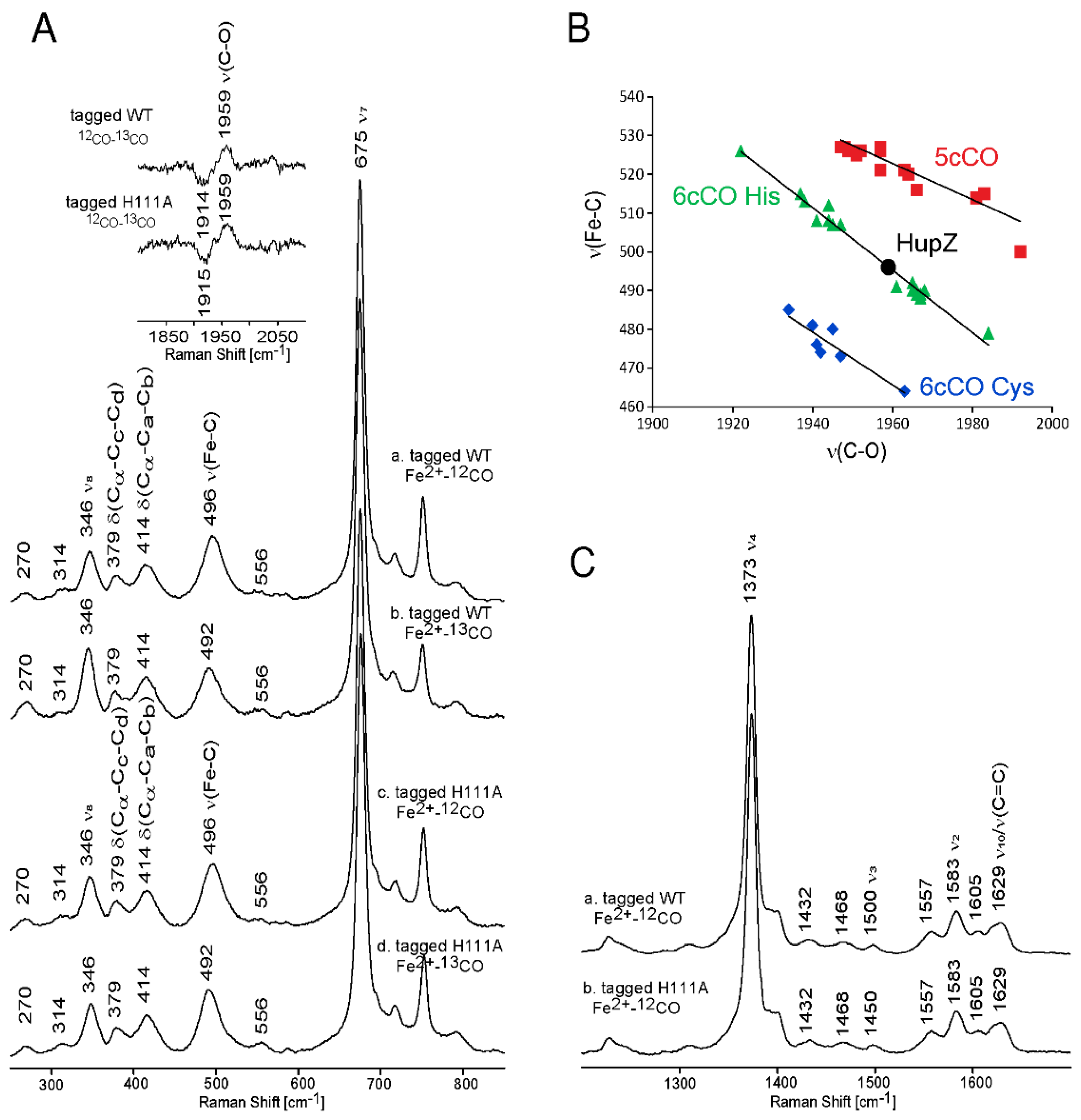 Molecules 26 00549 g004 Molecules 26 00549 g004