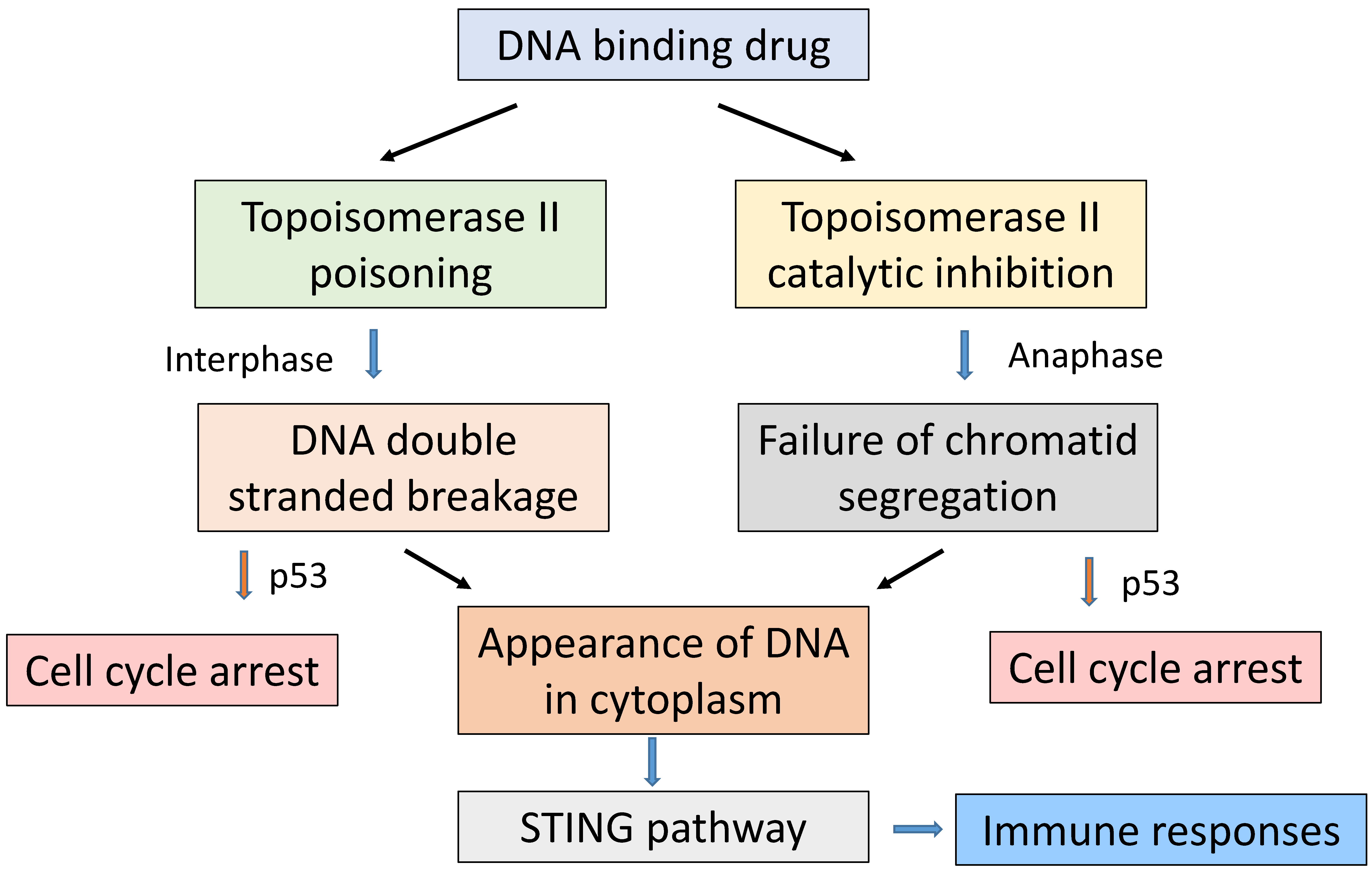 Molecules 26 00552 g002 Molecules 26 00552 g002