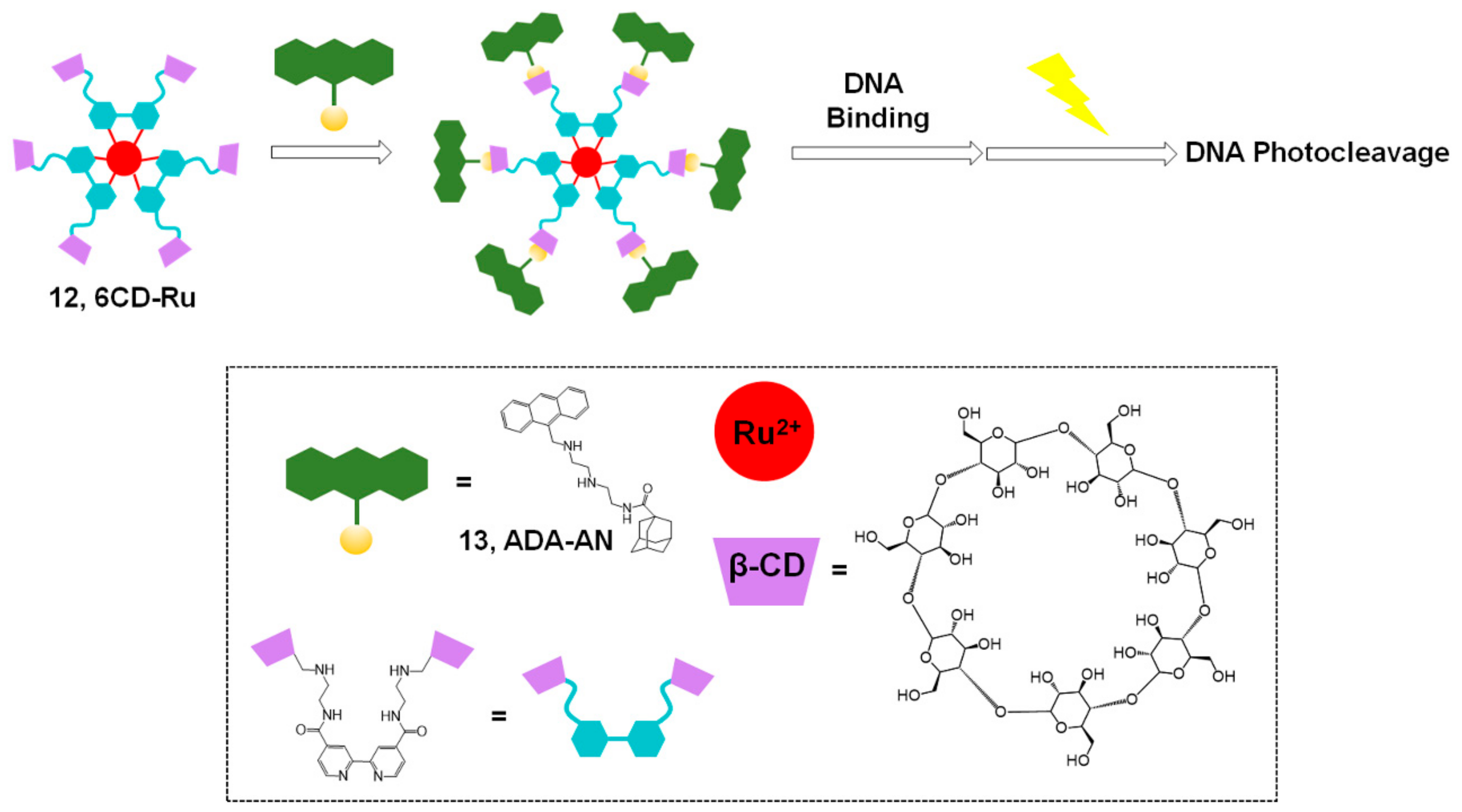 Molecules 26 00556 g005 Molecules 26 00556 g005