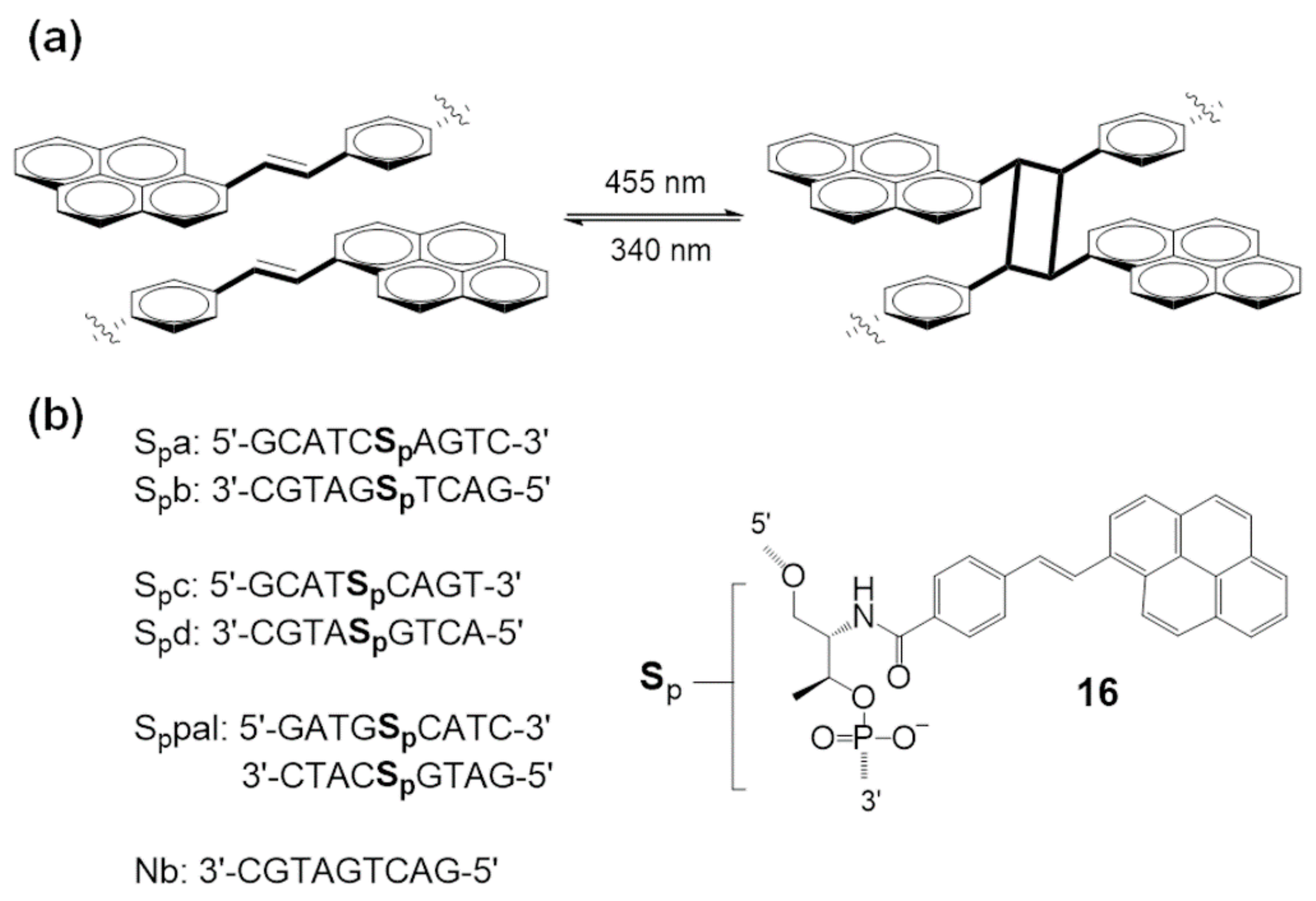 Molecules 26 00556 g008 Molecules 26 00556 g008