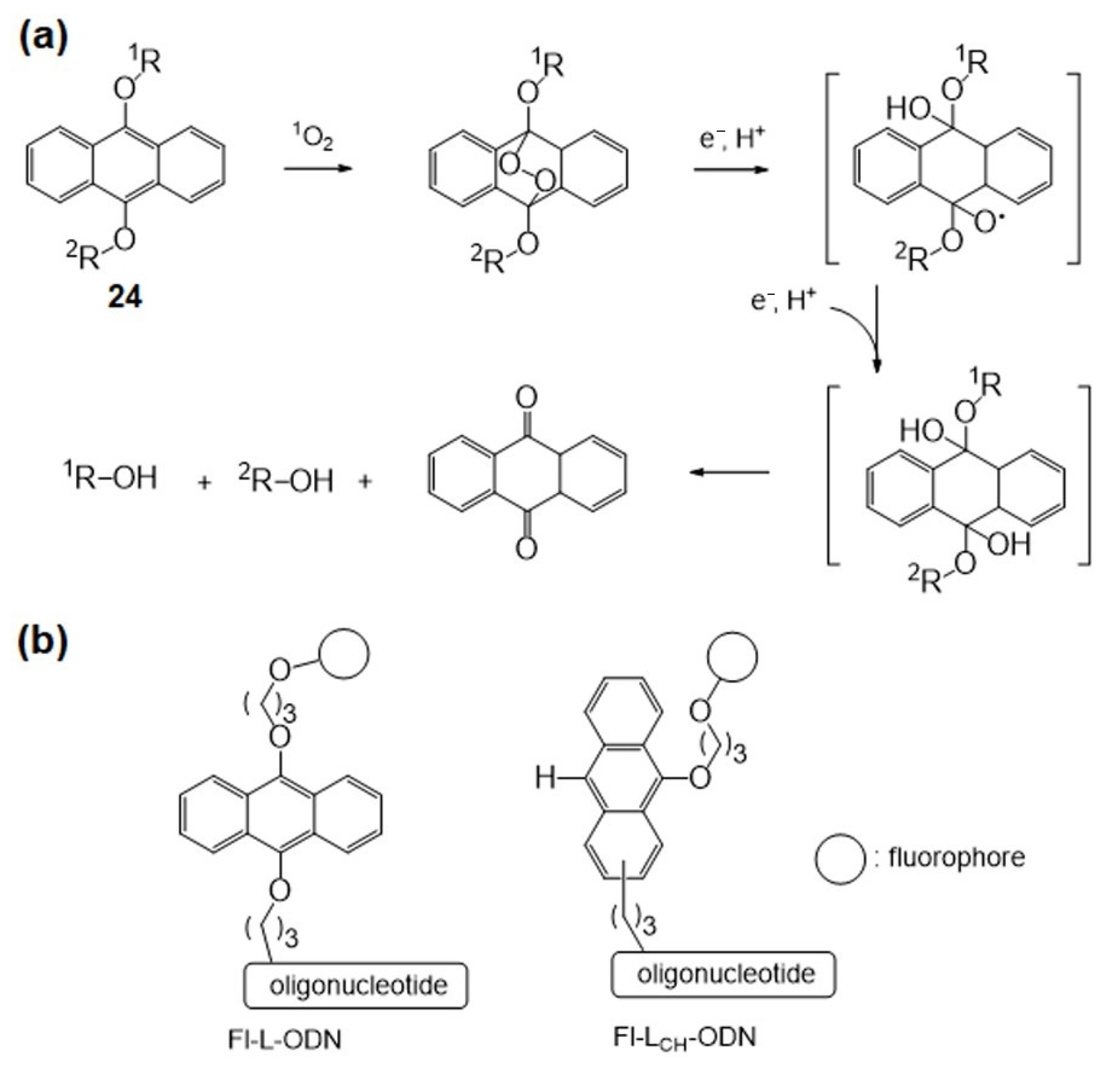 Molecules 26 00556 g015 Molecules 26 00556 g015