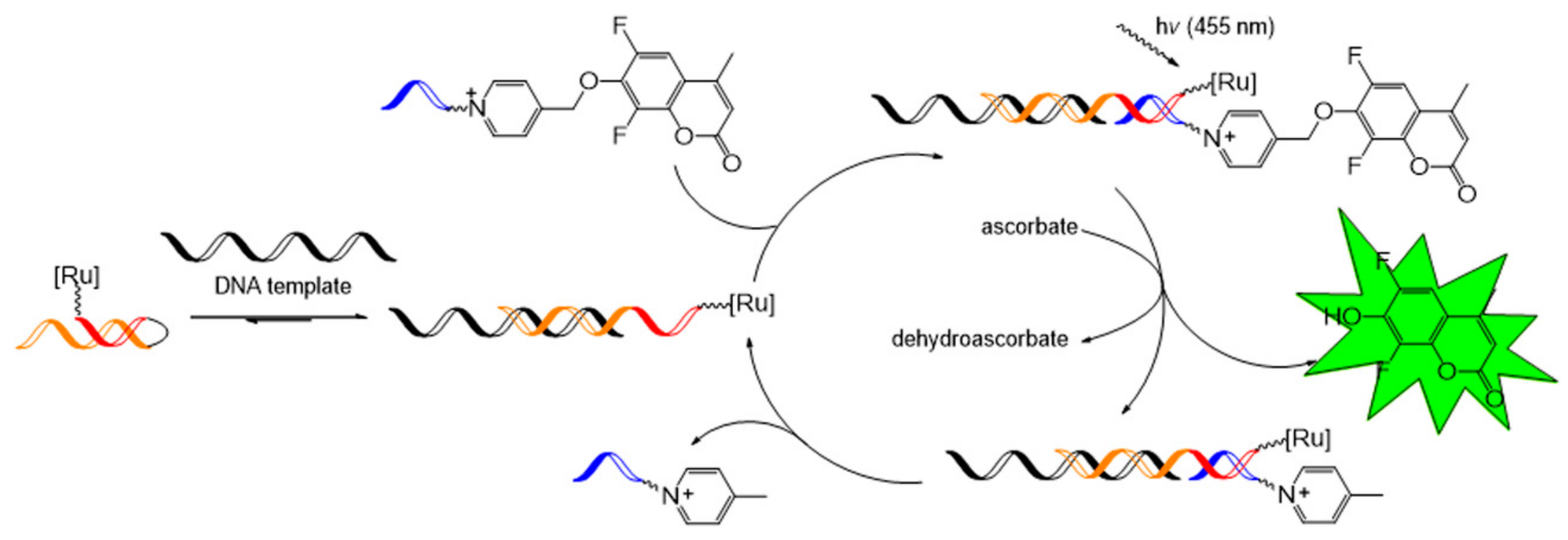 Molecules 26 00556 g017 Molecules 26 00556 g017