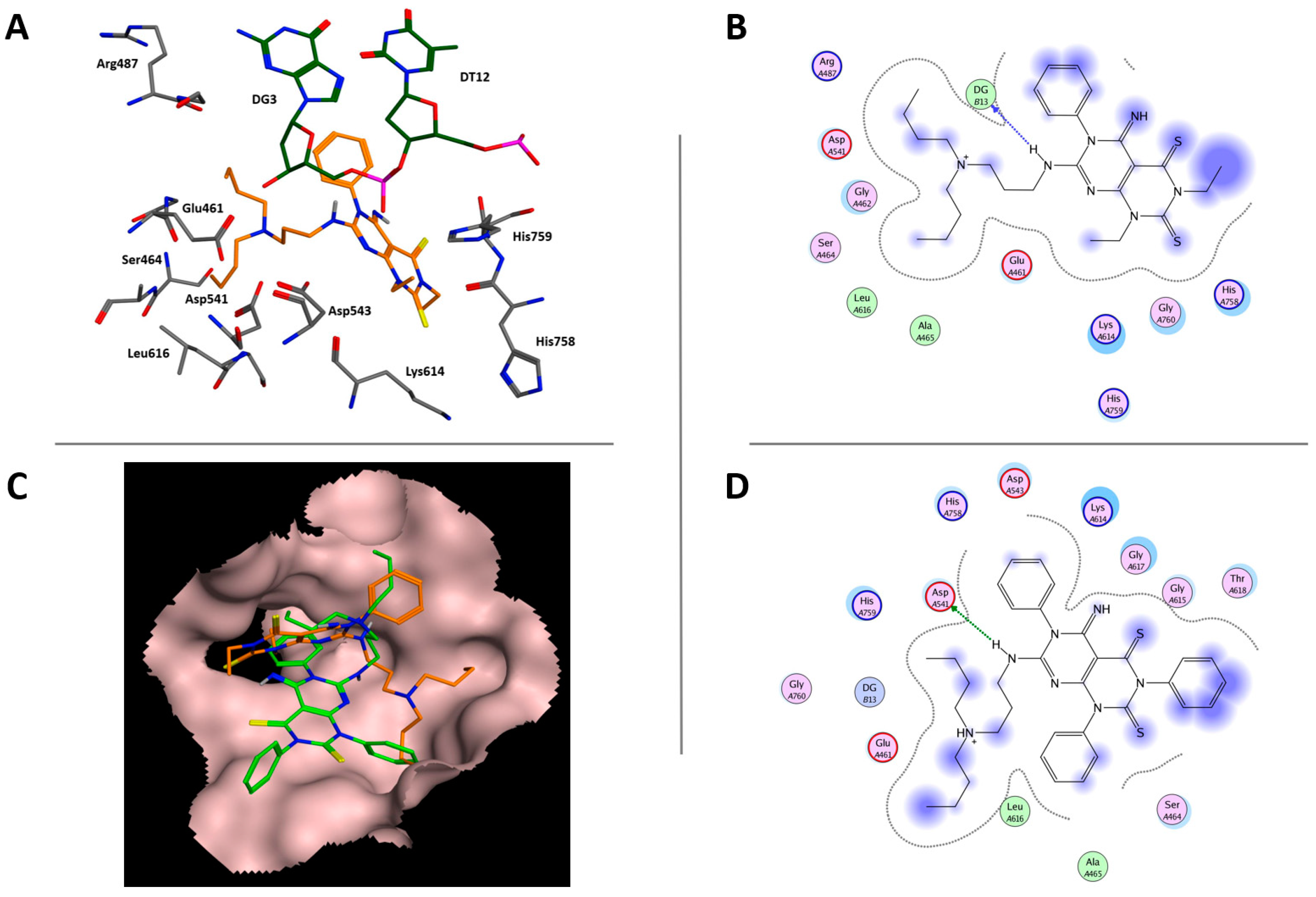 Molecules 26 00557 g004 Molecules 26 00557 g004