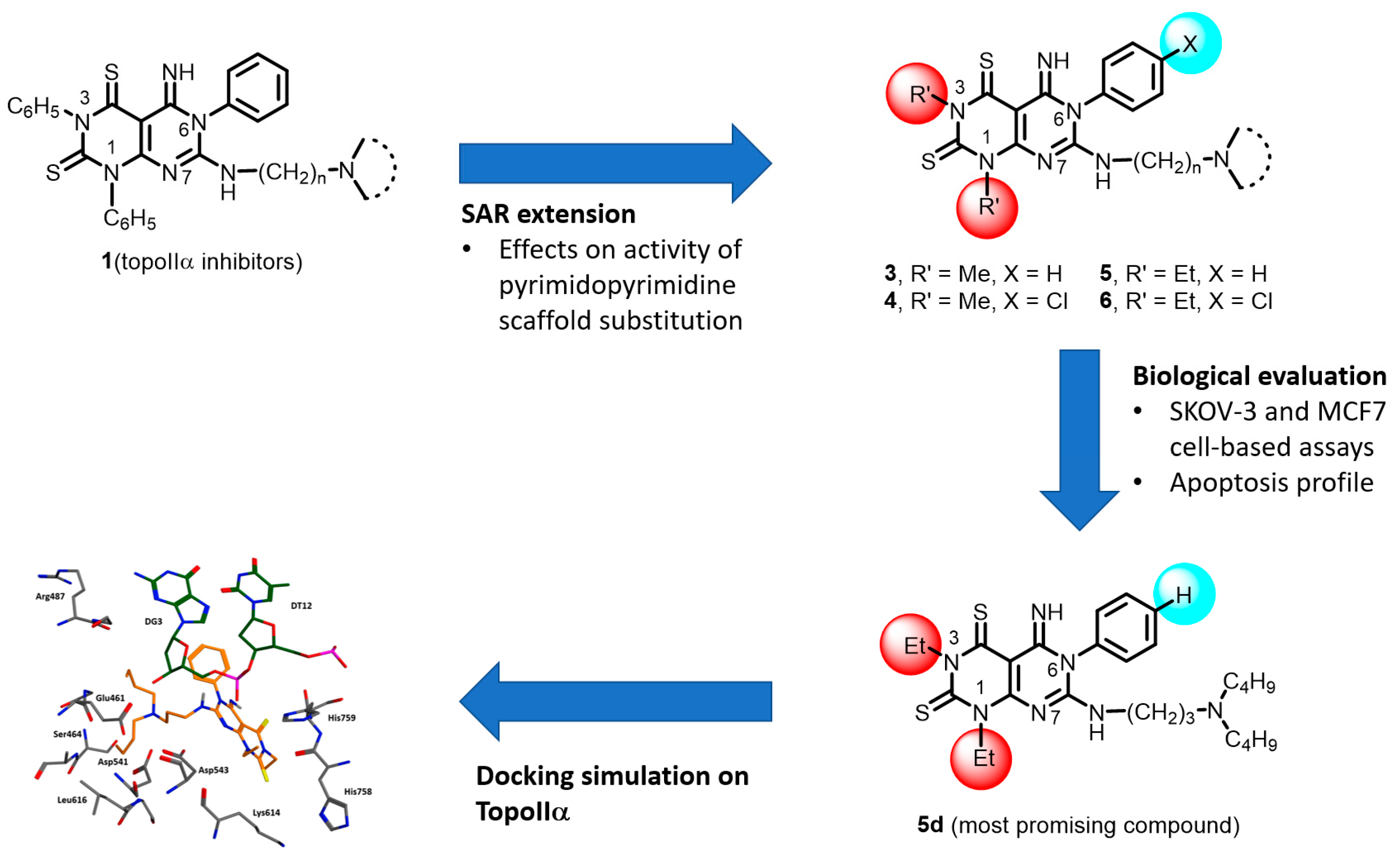 Molecules 26 00557 g005 Molecules 26 00557 g005