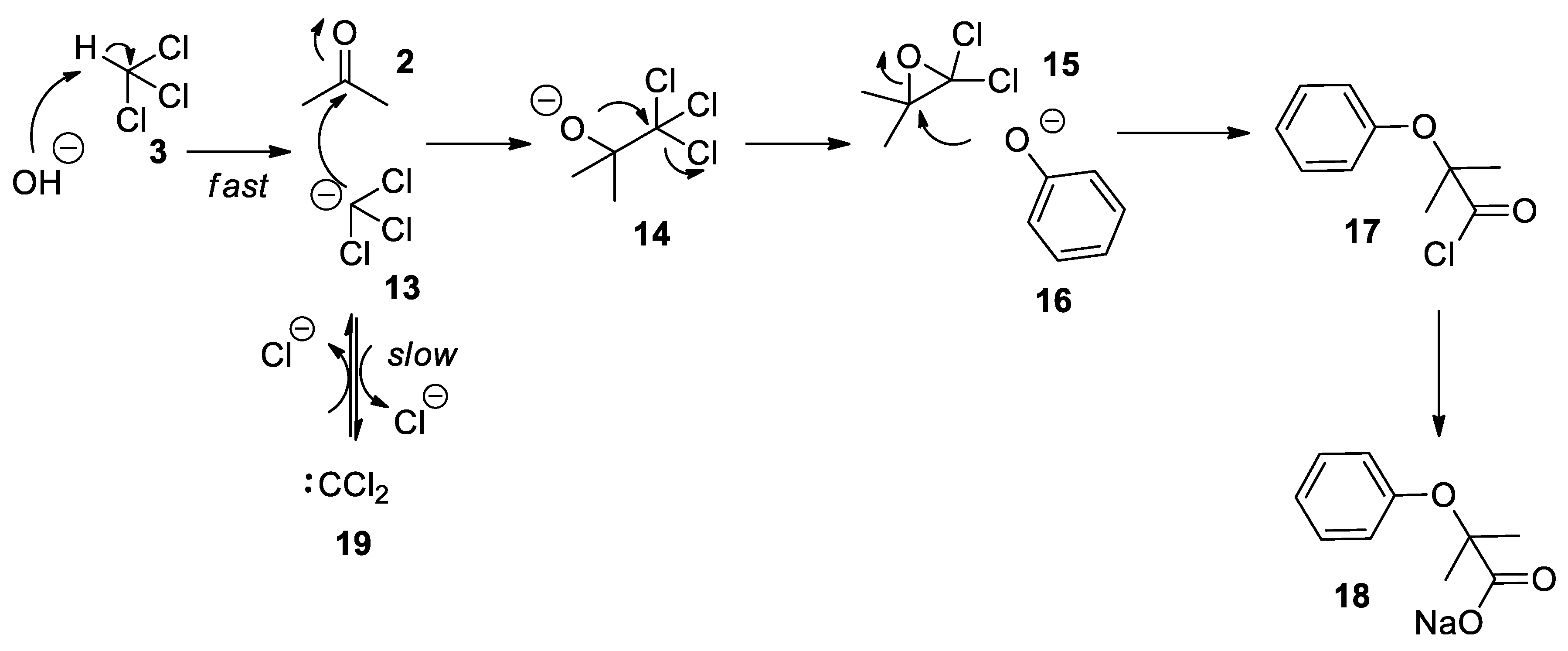 Molecules 26 00558 sch005