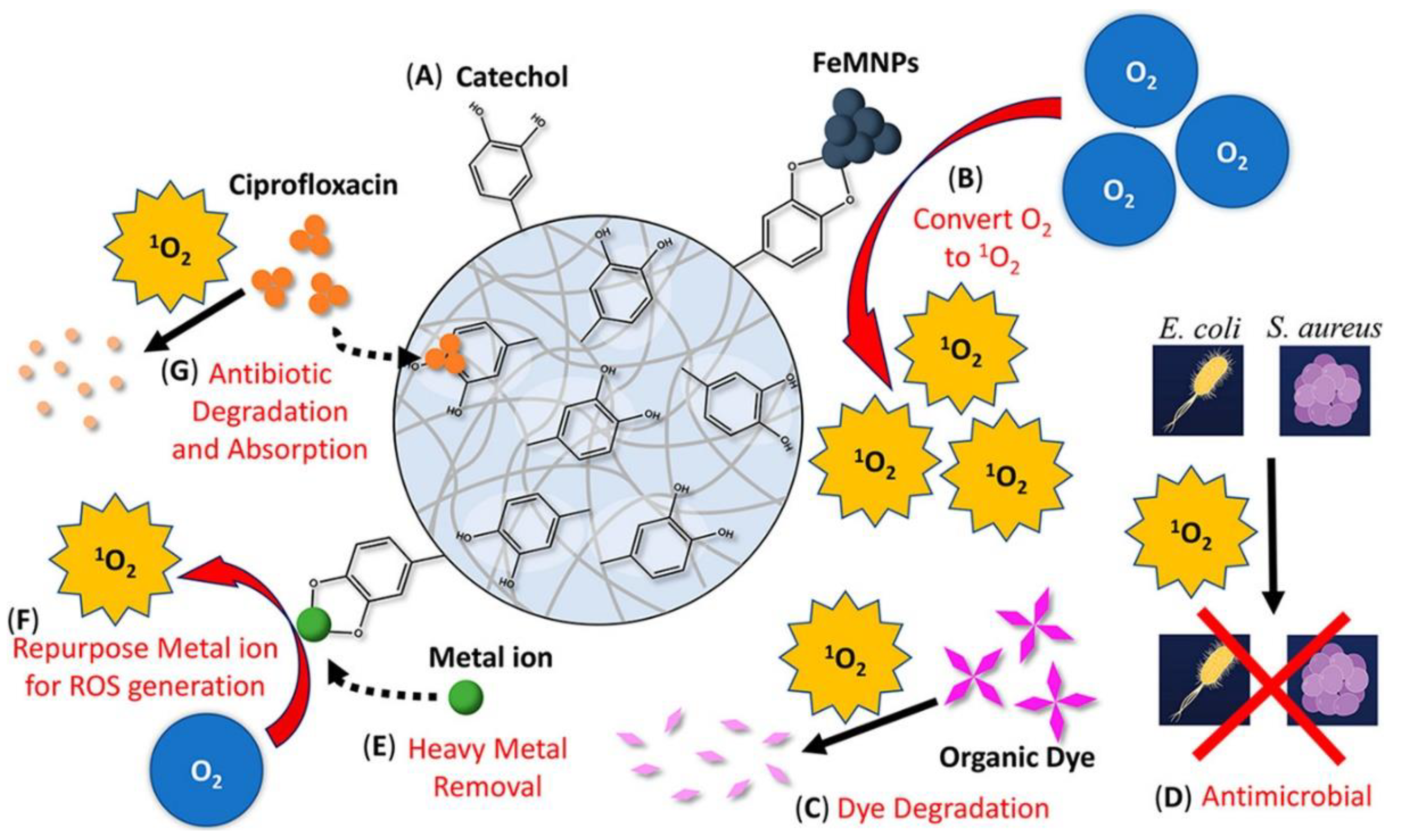Molecules 26 00559 g007