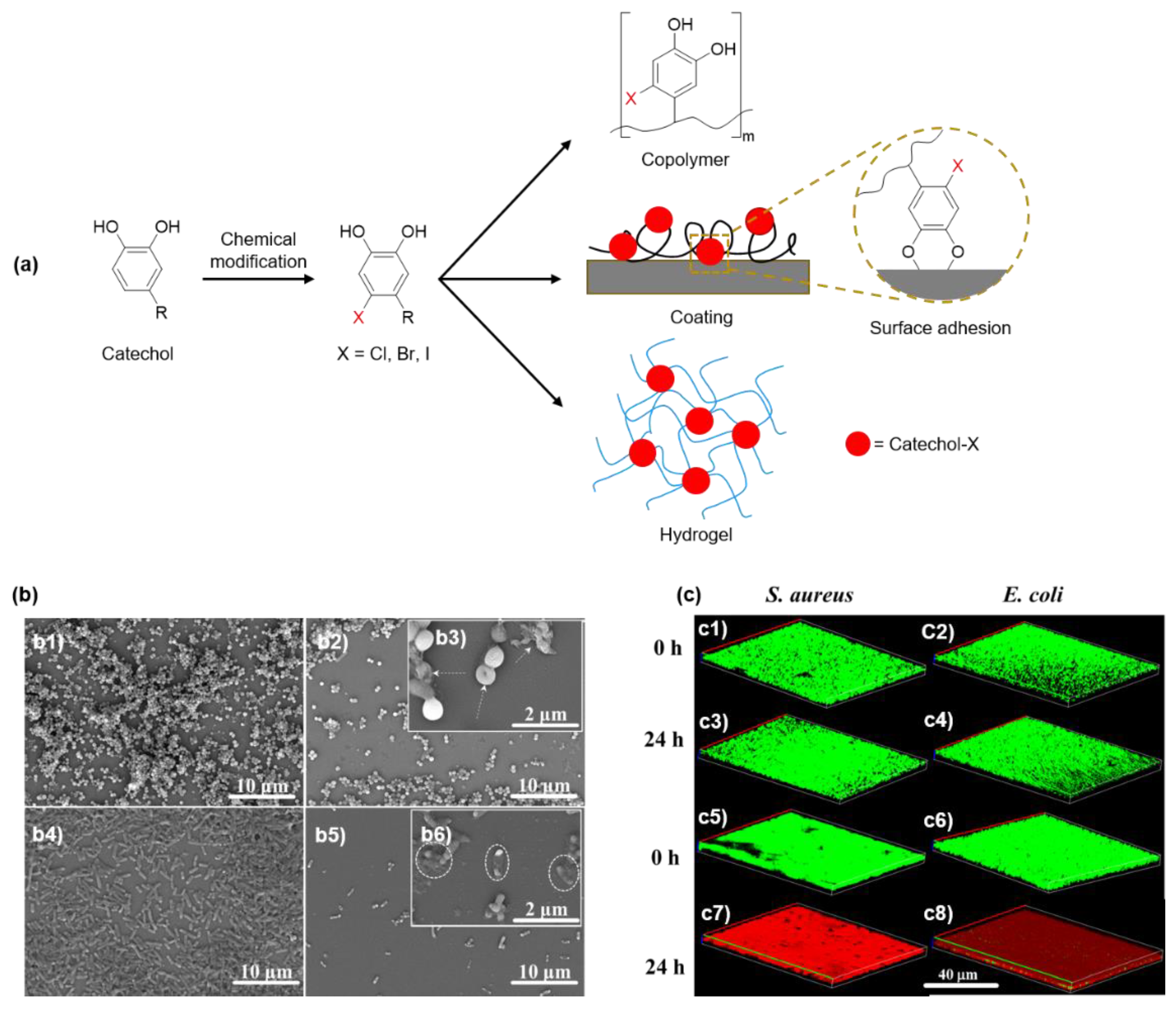Molecules 26 00559 g009