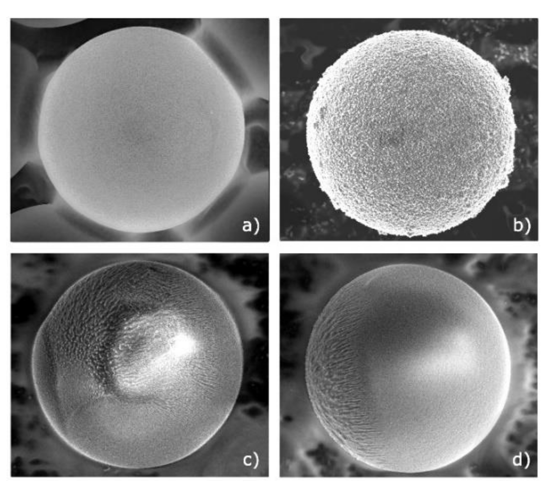 Molecules 26 00561 g001 Molecules 26 00561 g001