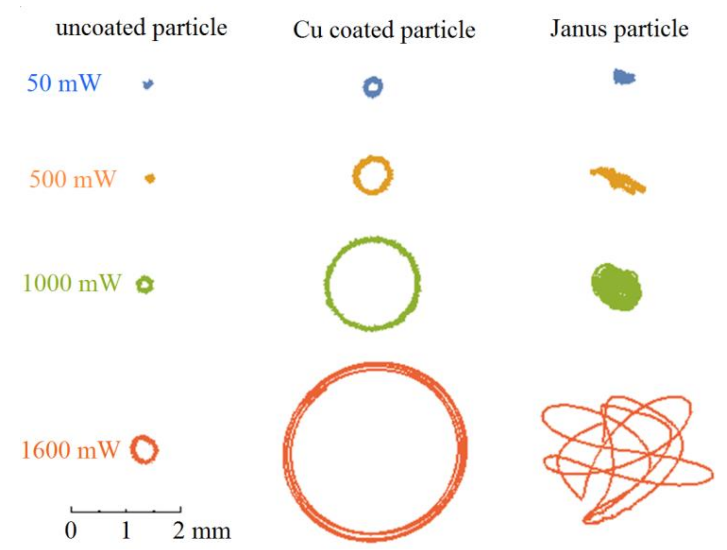 Molecules 26 00561 g002 Molecules 26 00561 g002