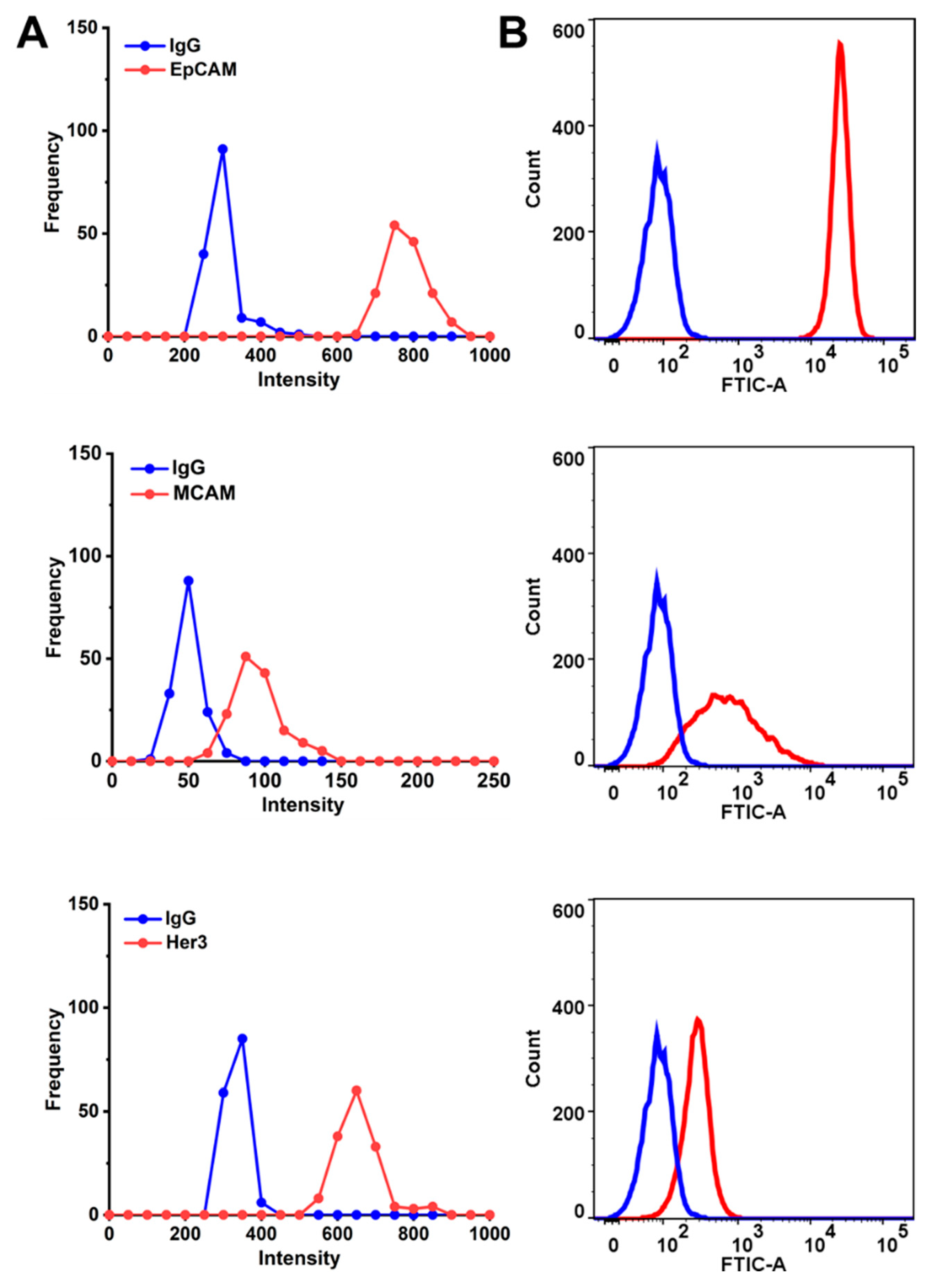 Molecules 26 00567 g004 Molecules 26 00567 g004