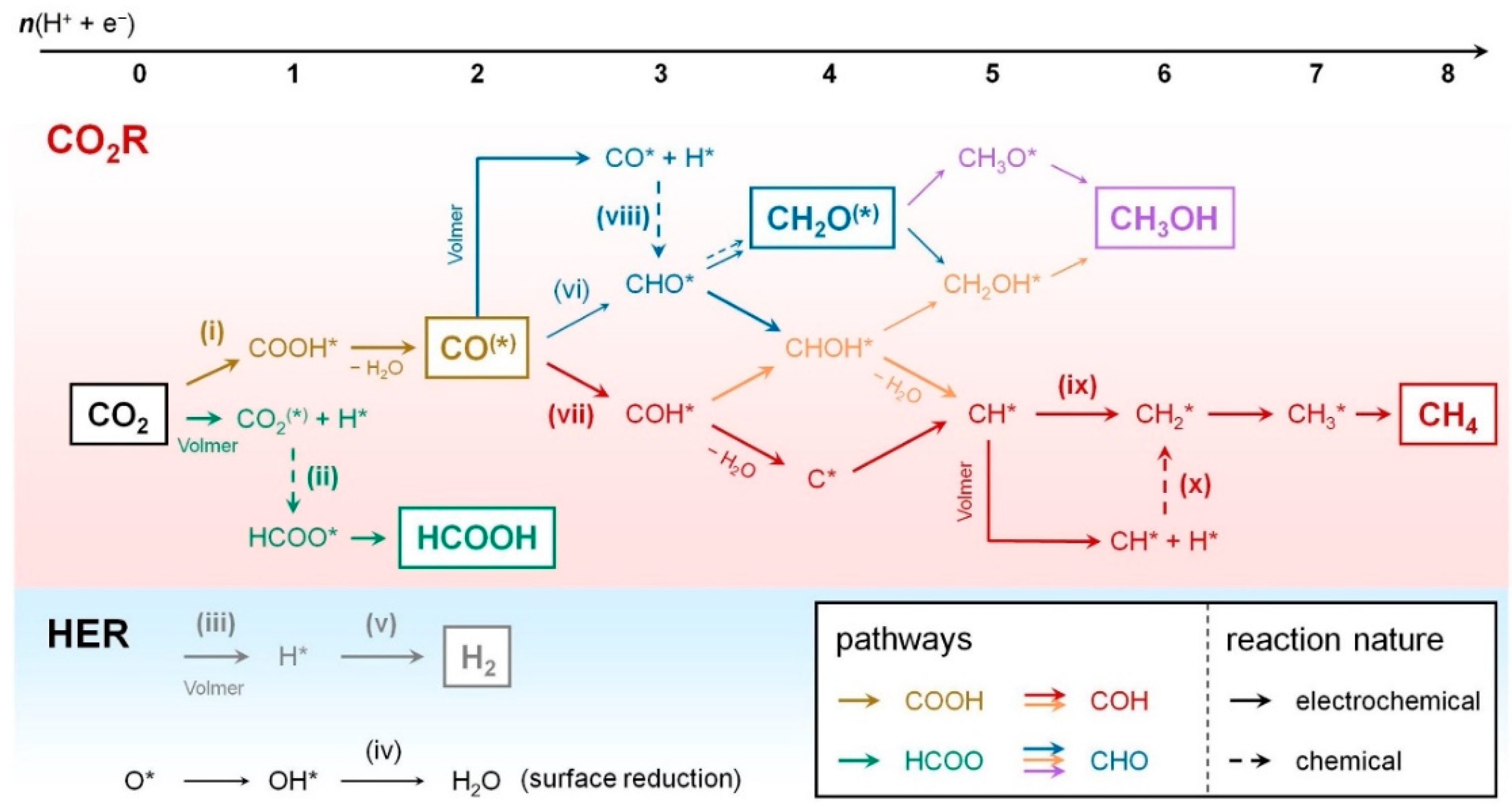 Molecules 26 00572 g002 Molecules 26 00572 g002
